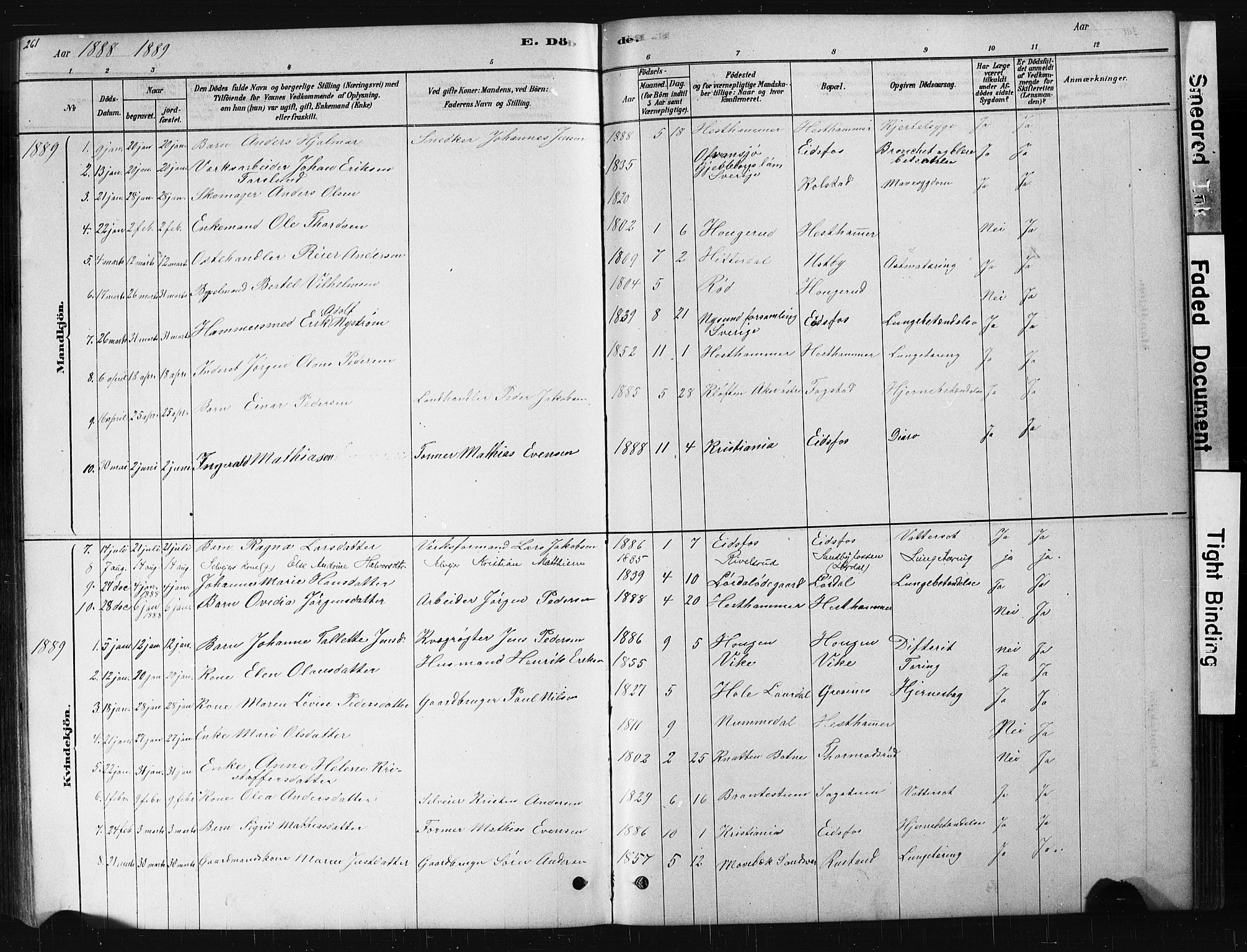 Hof kirkebøker, AV/SAKO-A-64/G/Ga/L0004: Parish register (copy) no. I 4, 1878-1930, p. 261