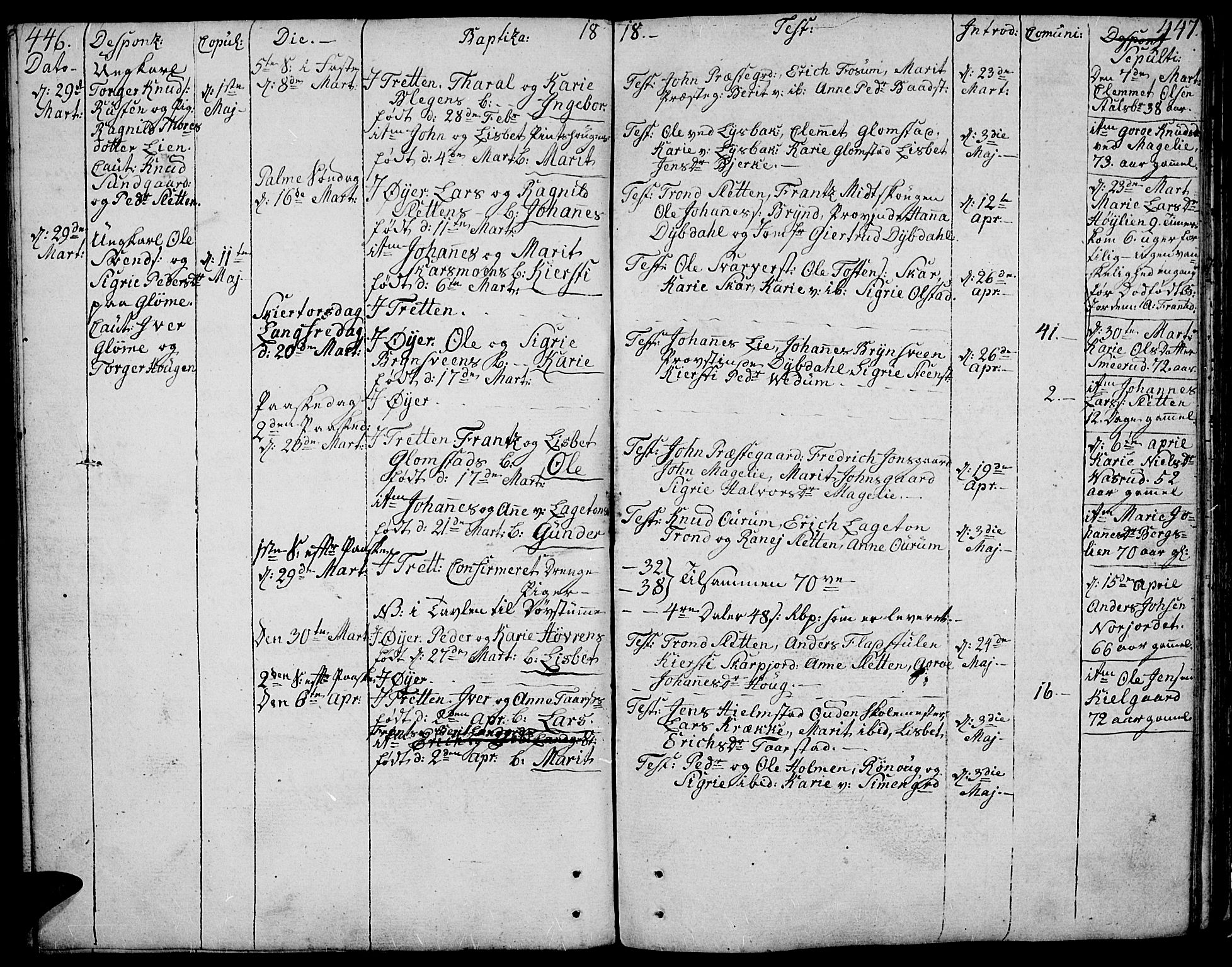 Øyer prestekontor, SAH/PREST-084/H/Ha/Haa/L0003: Parish register (official) no. 3, 1784-1824, p. 446-447