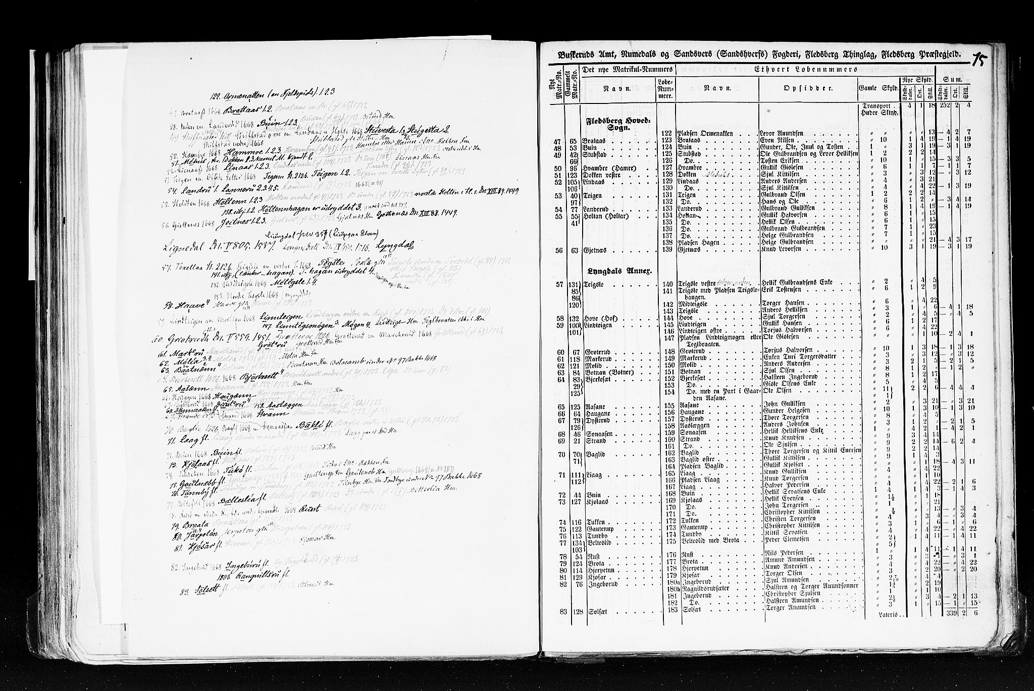 Rygh, AV/RA-PA-0034/F/Fb/L0005: Matrikkelen for 1838 - Buskerud amt (Buskerud fylke), 1838, p. 75a