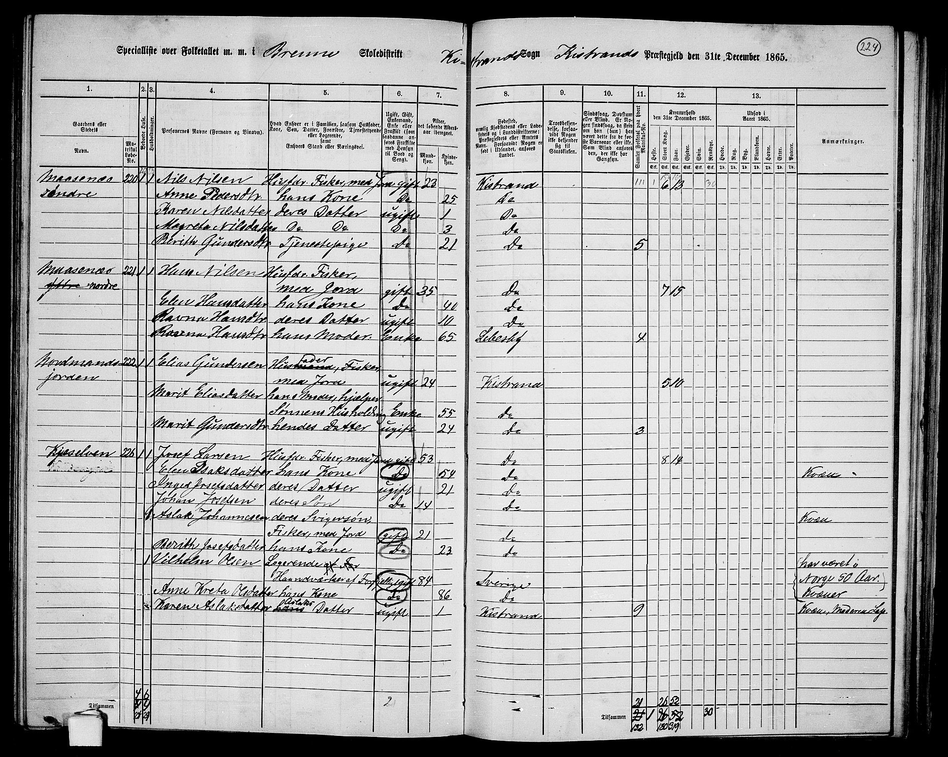 RA, 1865 census for Kistrand, 1865, p. 65