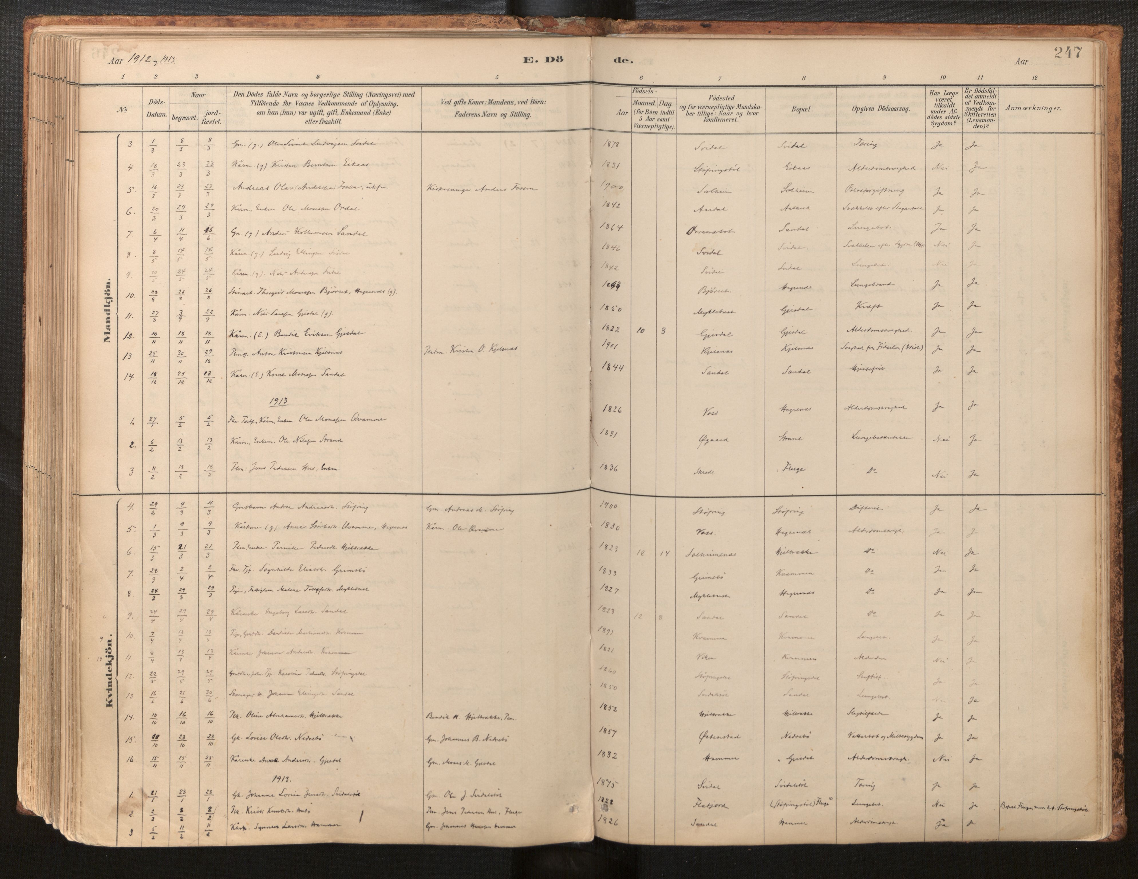 Jølster sokneprestembete, AV/SAB-A-80701/H/Haa/Haab/L0001: Parish register (official) no. B 1, 1882-1930, p. 247