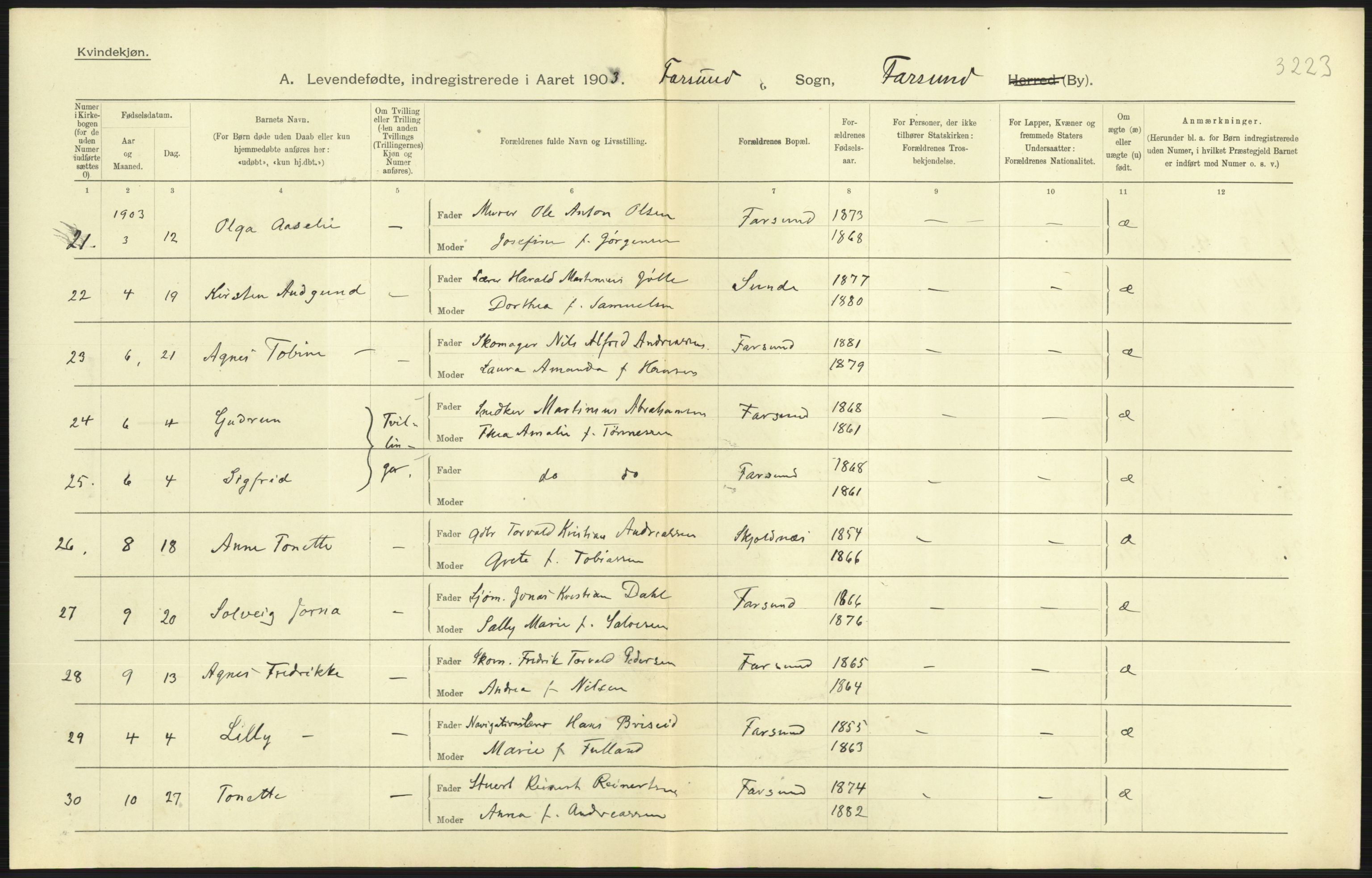 Statistisk sentralbyrå, Sosiodemografiske emner, Befolkning, AV/RA-S-2228/D/Df/Dfa/Dfaa/L0011: Lister og Mandal amt: Fødte, gifte, døde, 1903, p. 215