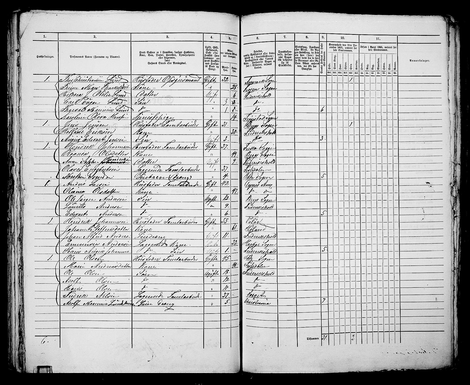 RA, 1865 census for Fredrikshald, 1865, p. 519
