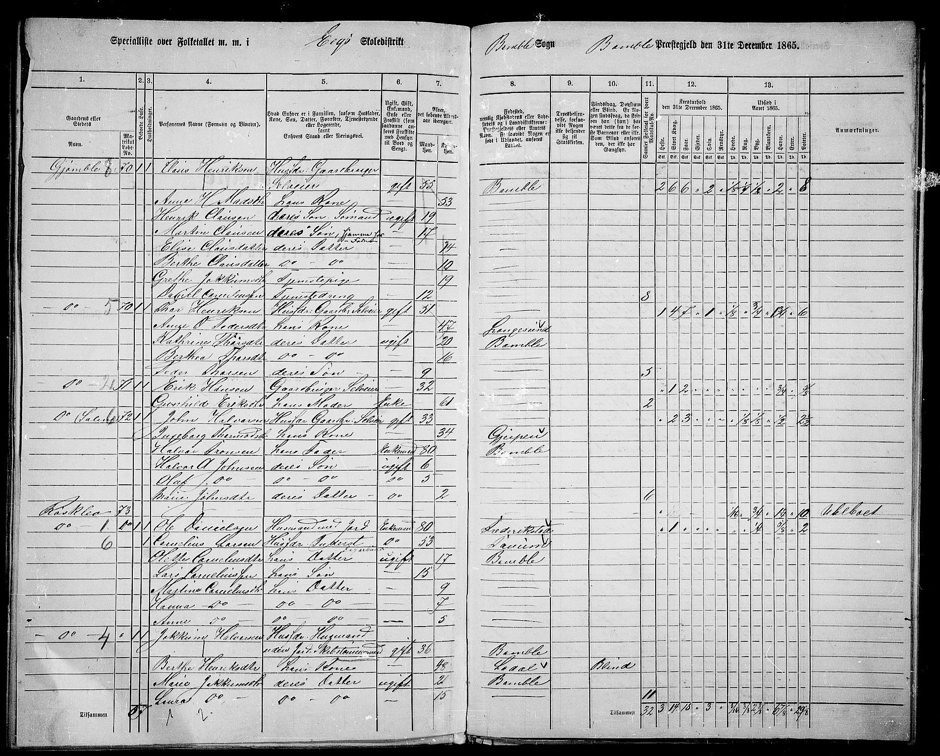 RA, 1865 census for Bamble, 1865, p. 160