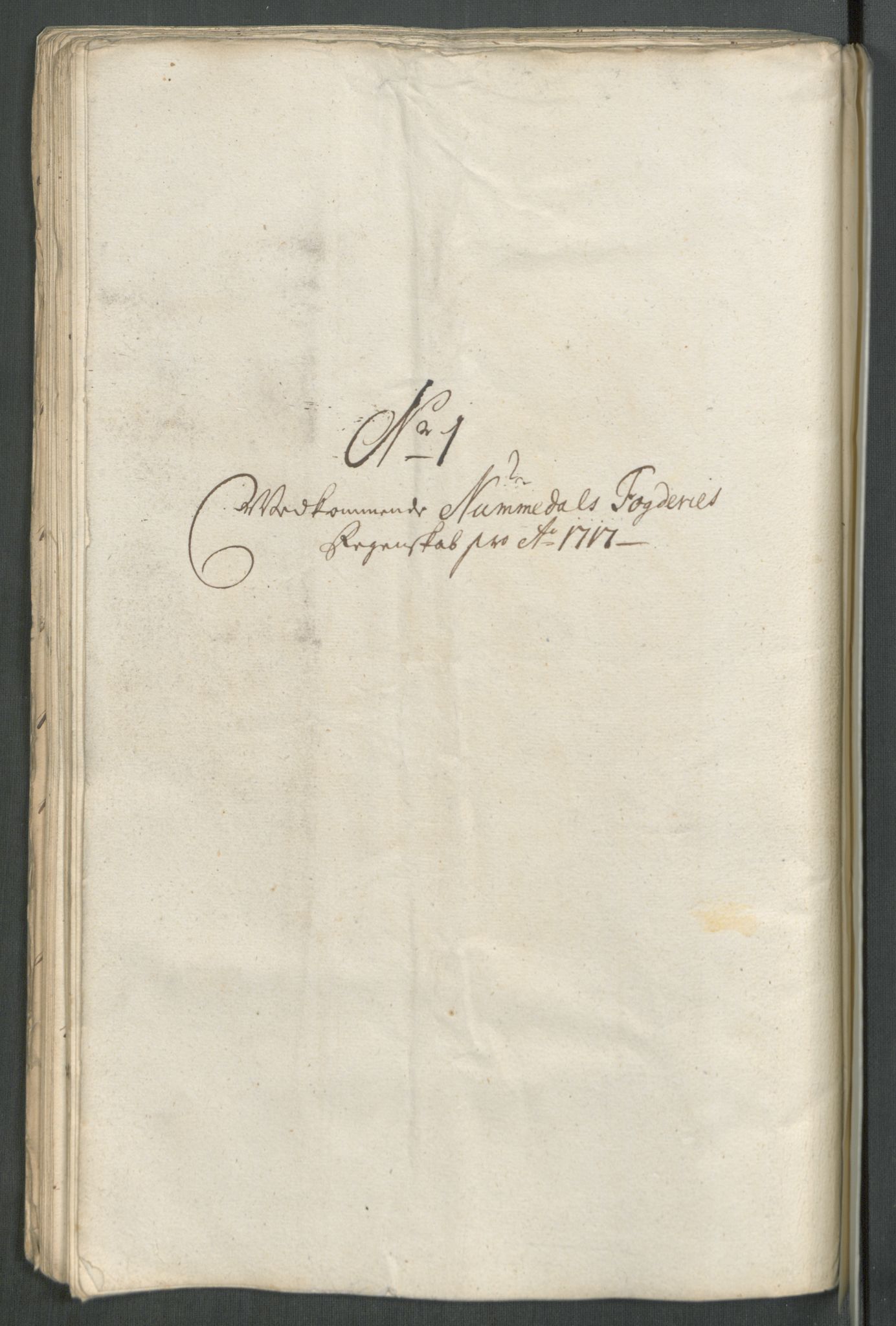 Rentekammeret inntil 1814, Reviderte regnskaper, Fogderegnskap, AV/RA-EA-4092/R64/L4438: Fogderegnskap Namdal, 1717, p. 83