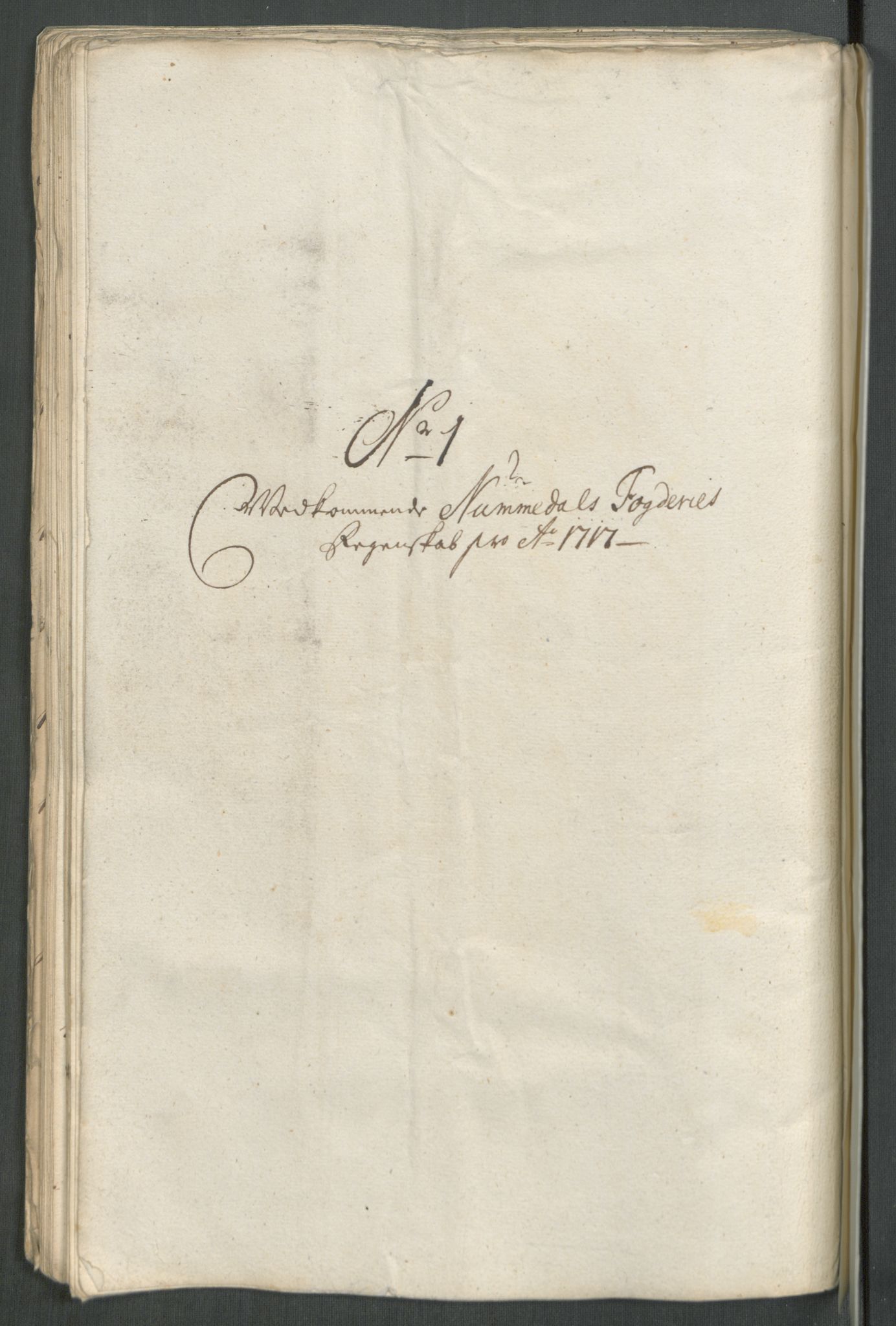 Rentekammeret inntil 1814, Reviderte regnskaper, Fogderegnskap, RA/EA-4092/R64/L4438: Fogderegnskap Namdal, 1717, p. 83