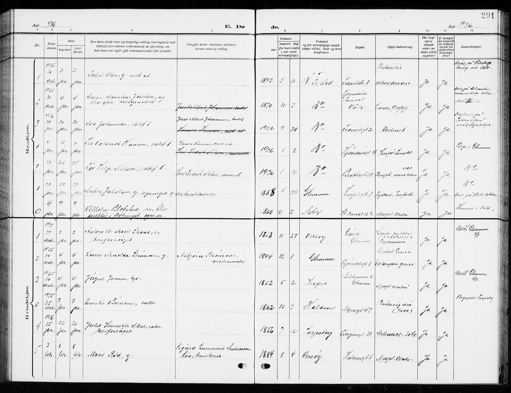 Fredrikstad domkirkes prestekontor Kirkebøker, SAO/A-10906/G/Ga/L0004: Parish register (copy) no. 4, 1910-1944, p. 291