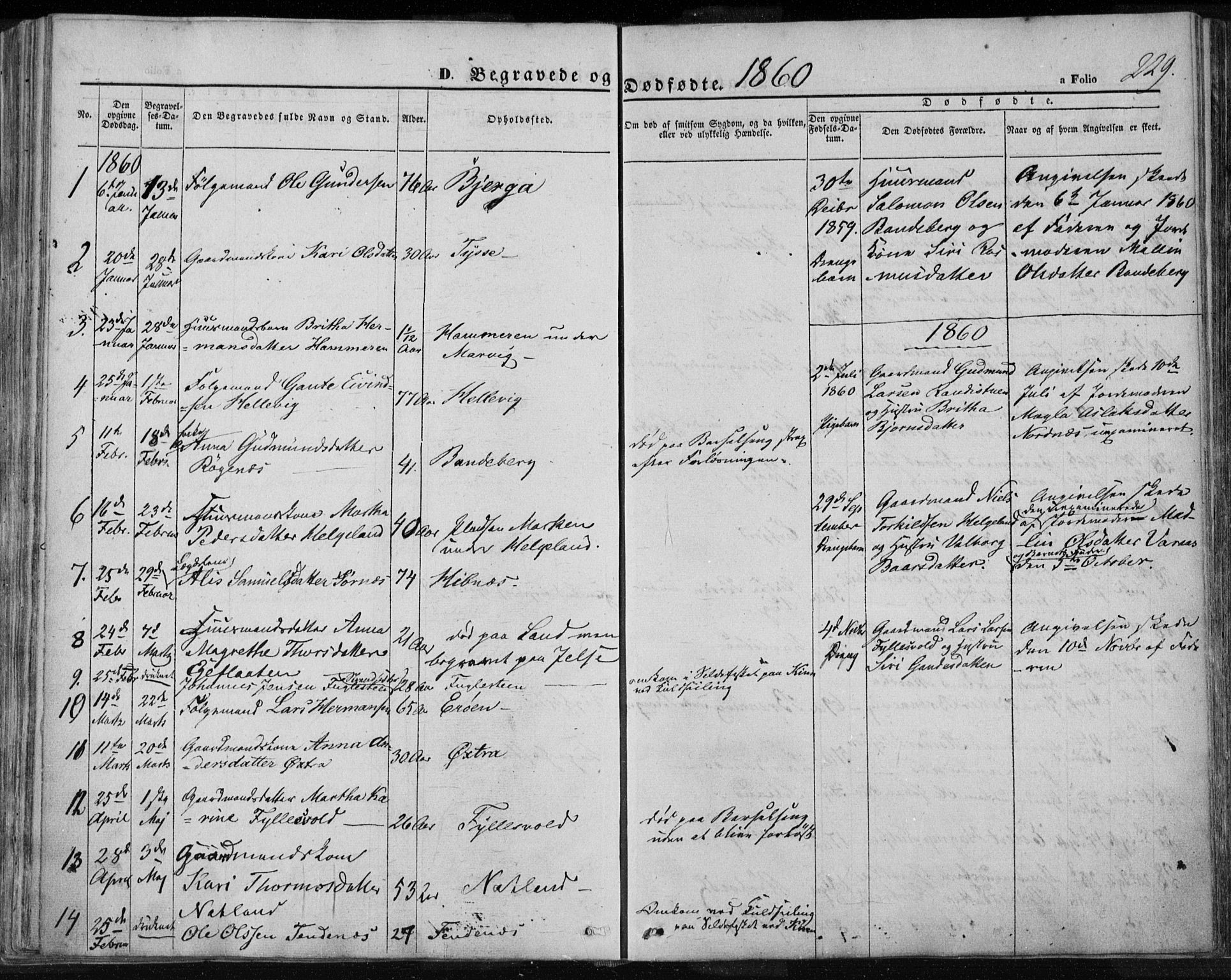 Jelsa sokneprestkontor, SAST/A-101842/01/IV: Parish register (official) no. A 7, 1854-1866, p. 229