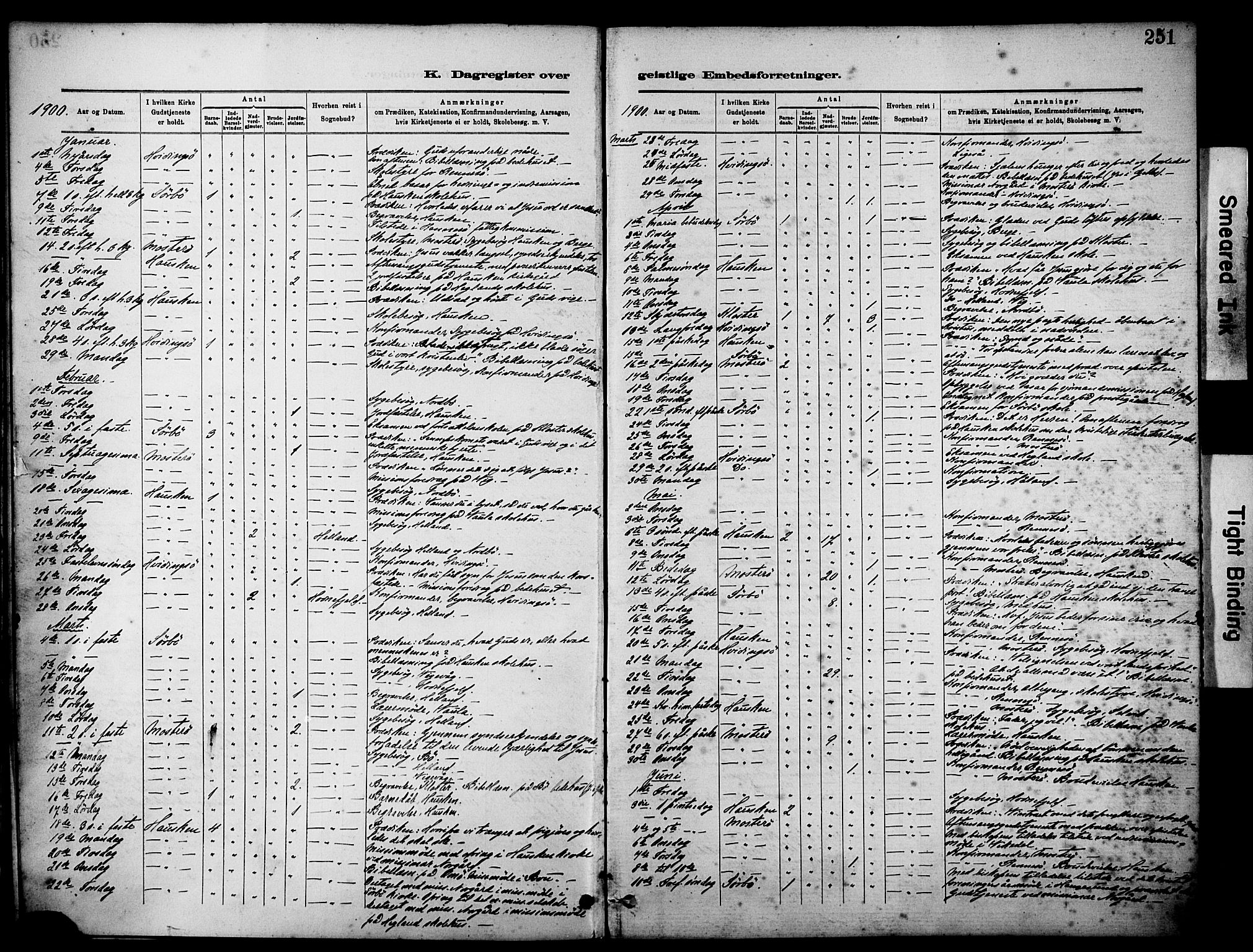 Rennesøy sokneprestkontor, SAST/A -101827/H/Ha/Haa/L0012: Parish register (official) no. A 13, 1885-1917, p. 251