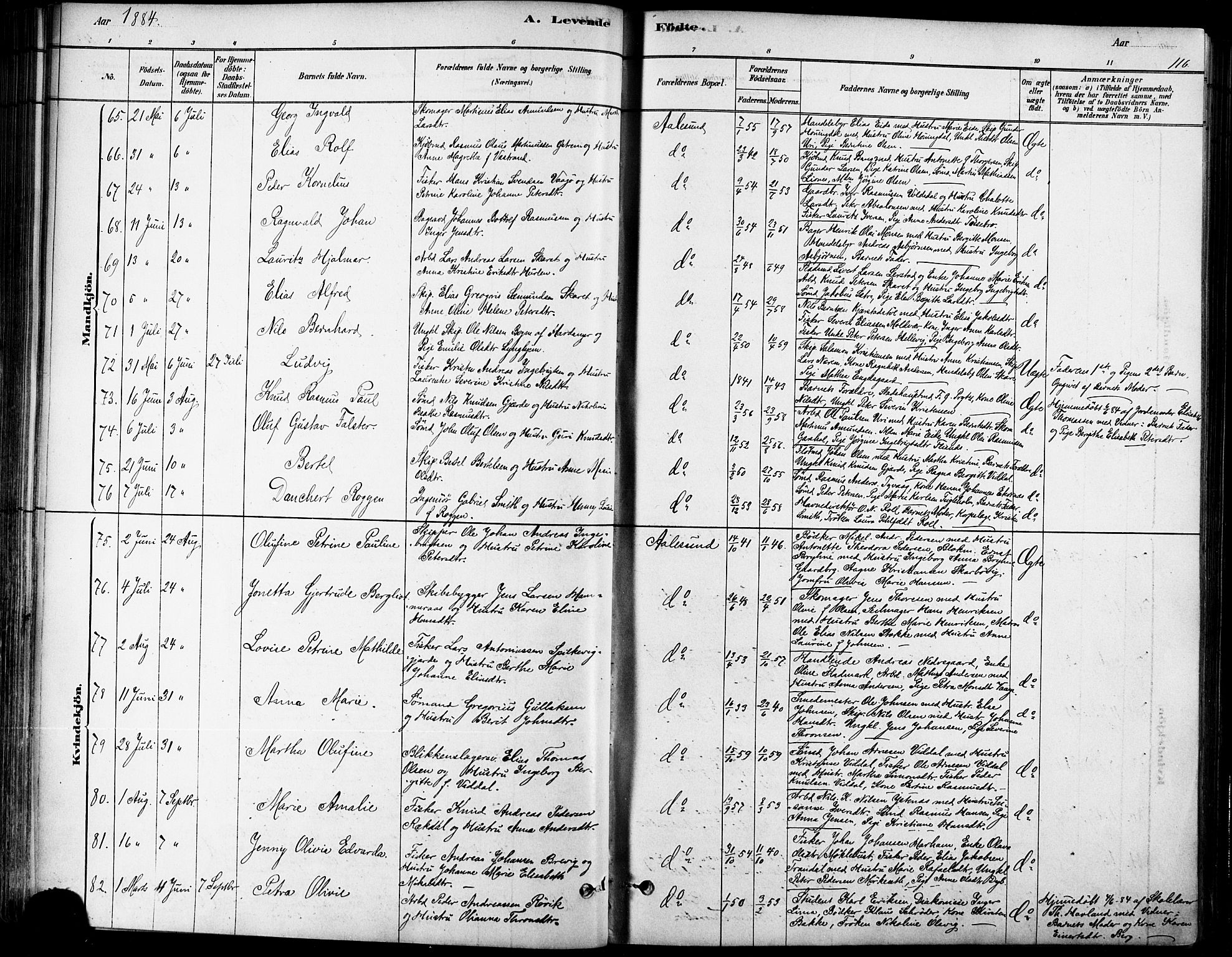 Ministerialprotokoller, klokkerbøker og fødselsregistre - Møre og Romsdal, SAT/A-1454/529/L0454: Parish register (official) no. 529A04, 1878-1885, p. 116