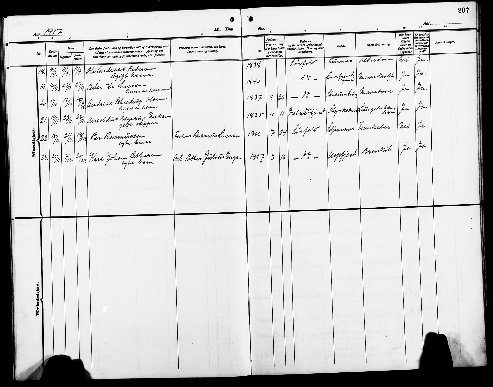 Ministerialprotokoller, klokkerbøker og fødselsregistre - Nordland, AV/SAT-A-1459/854/L0787: Parish register (copy) no. 854C03, 1913-1926, p. 207