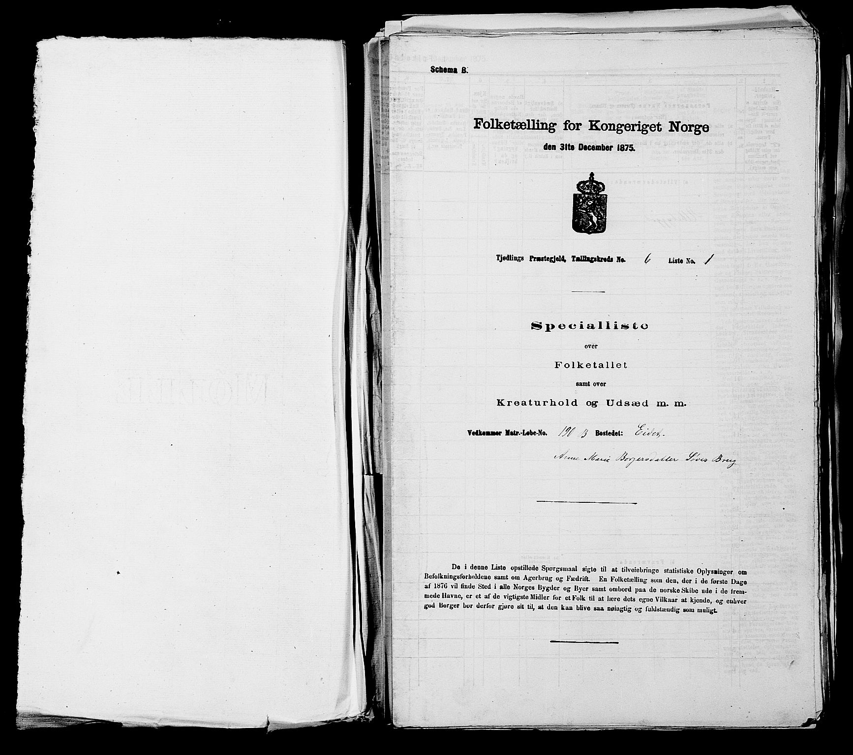 SAKO, 1875 census for 0725P Tjølling, 1875, p. 1031