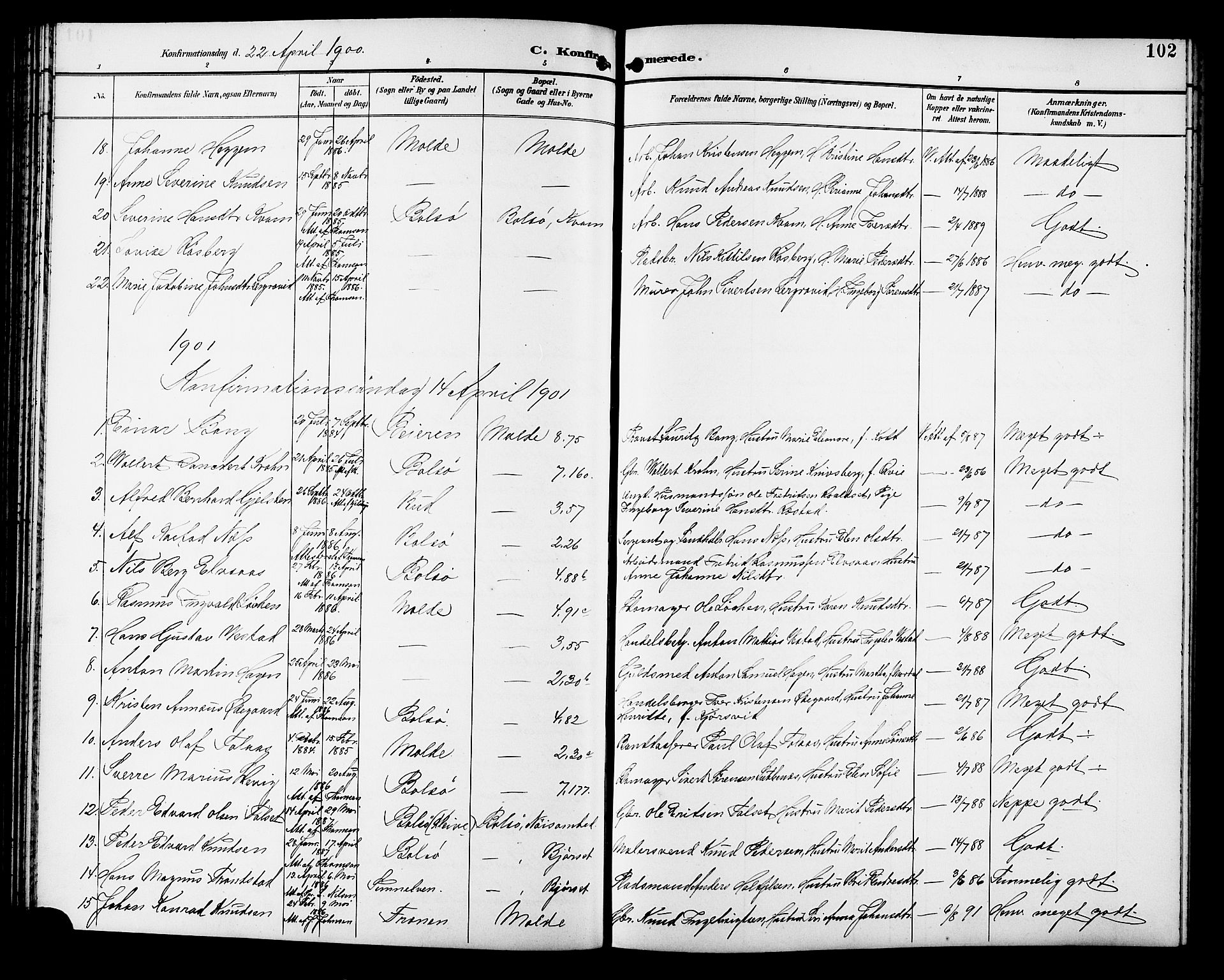 Ministerialprotokoller, klokkerbøker og fødselsregistre - Møre og Romsdal, SAT/A-1454/558/L0702: Parish register (copy) no. 558C03, 1894-1915, p. 102