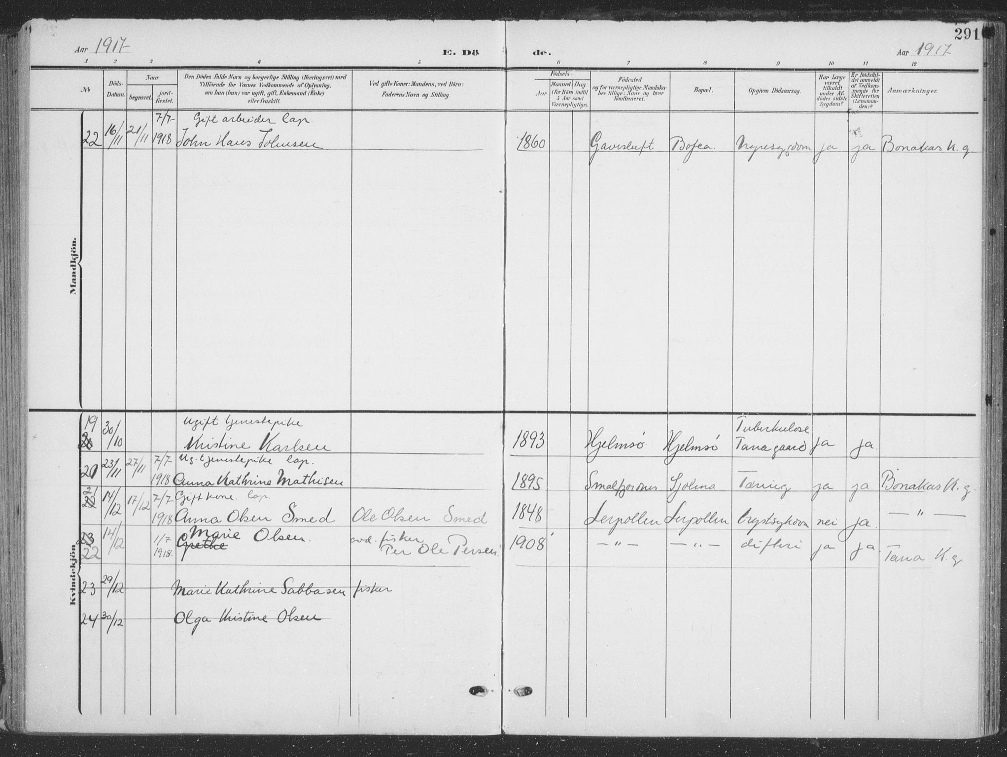 Tana sokneprestkontor, AV/SATØ-S-1334/H/Ha/L0007kirke: Parish register (official) no. 7, 1904-1918, p. 291