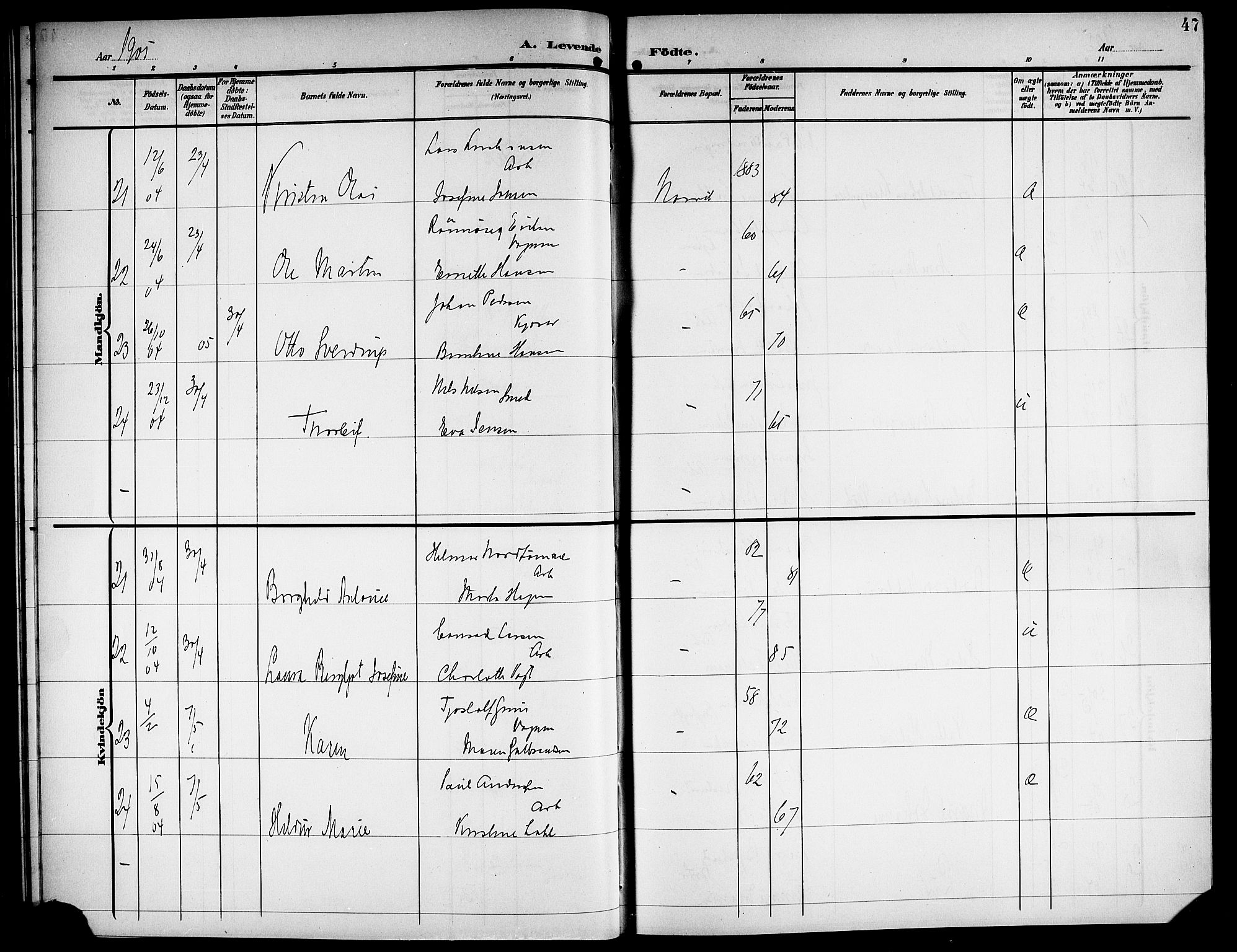 Ministerialprotokoller, klokkerbøker og fødselsregistre - Nordland, AV/SAT-A-1459/871/L1012: Parish register (copy) no. 871C01, 1902-1909, p. 47