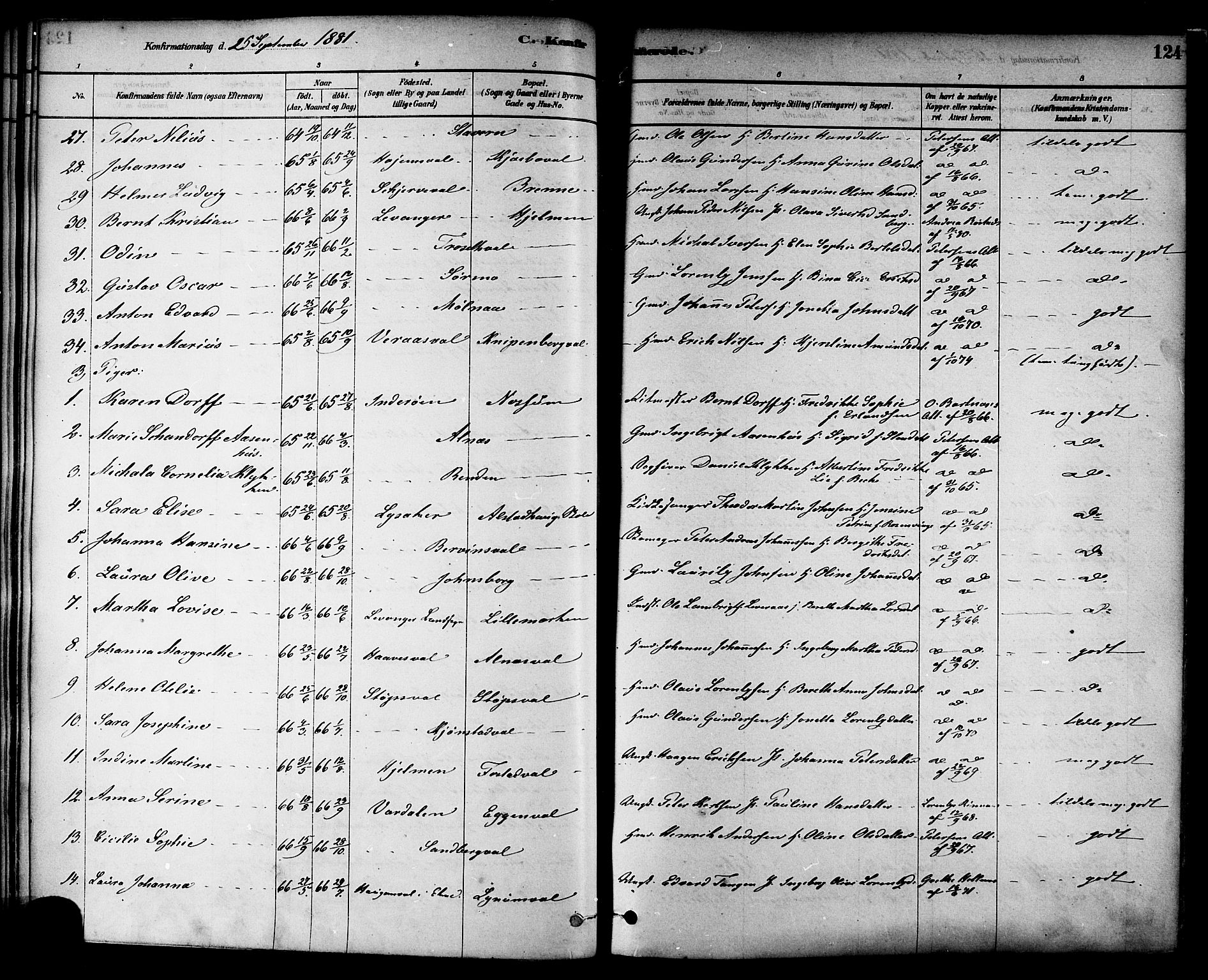 Ministerialprotokoller, klokkerbøker og fødselsregistre - Nord-Trøndelag, SAT/A-1458/717/L0159: Parish register (official) no. 717A09, 1878-1898, p. 124