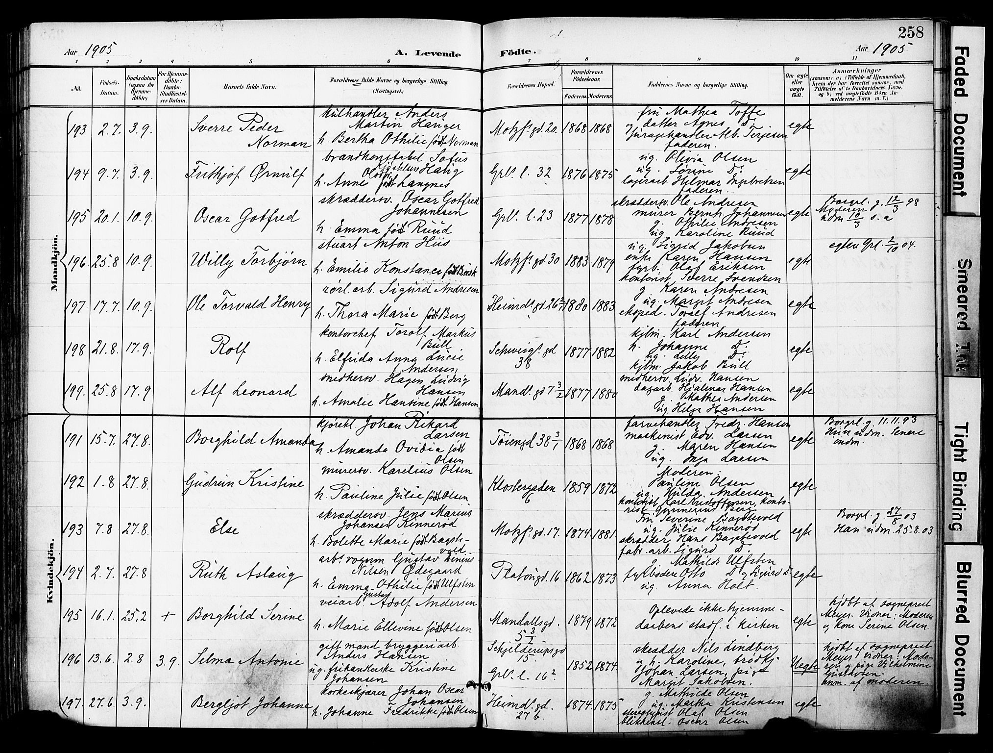 Grønland prestekontor Kirkebøker, SAO/A-10848/F/Fa/L0014: Parish register (official) no. 14, 1900-1911, p. 258
