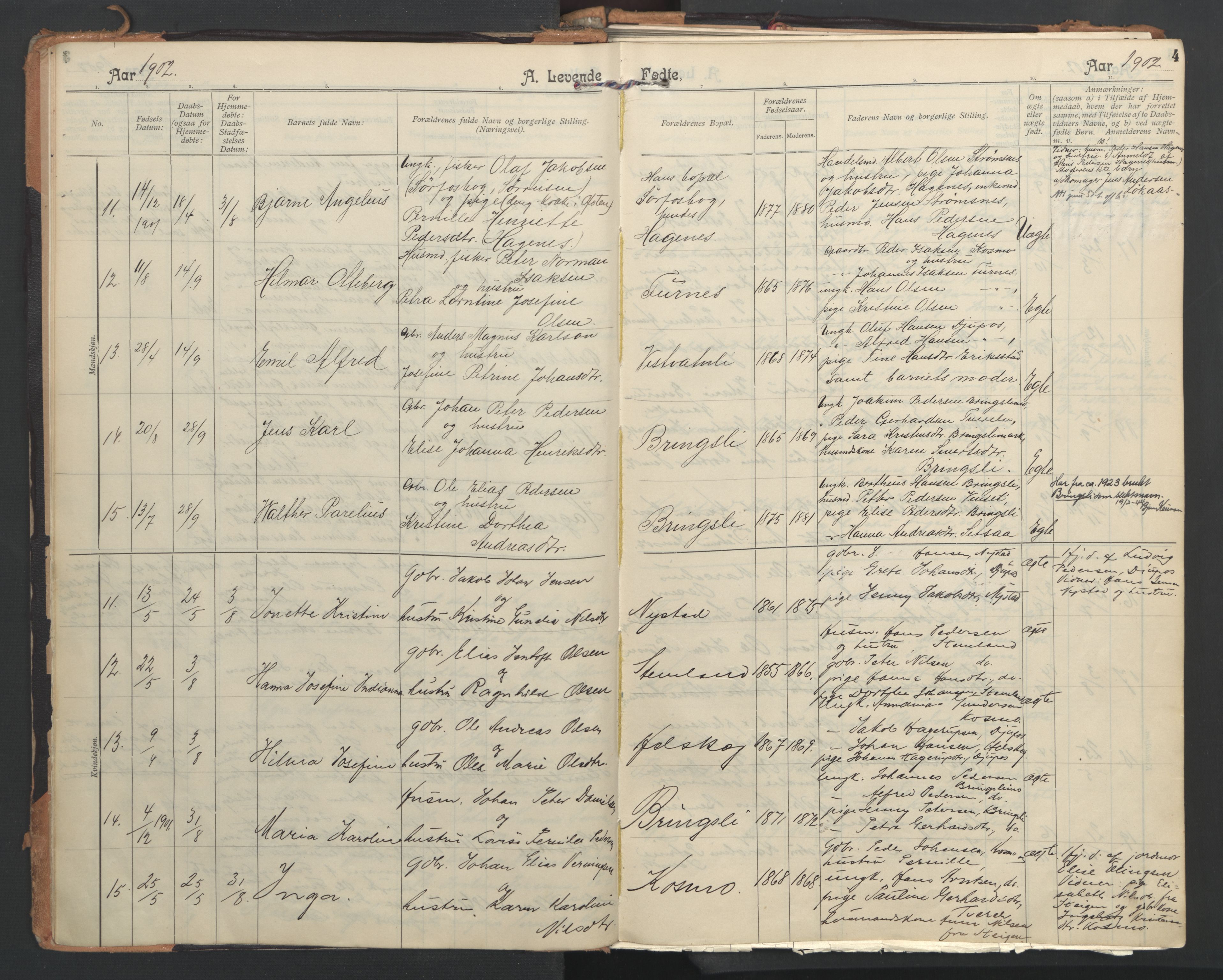 Ministerialprotokoller, klokkerbøker og fødselsregistre - Nordland, AV/SAT-A-1459/851/L0724: Parish register (official) no. 851A01, 1901-1922, p. 4