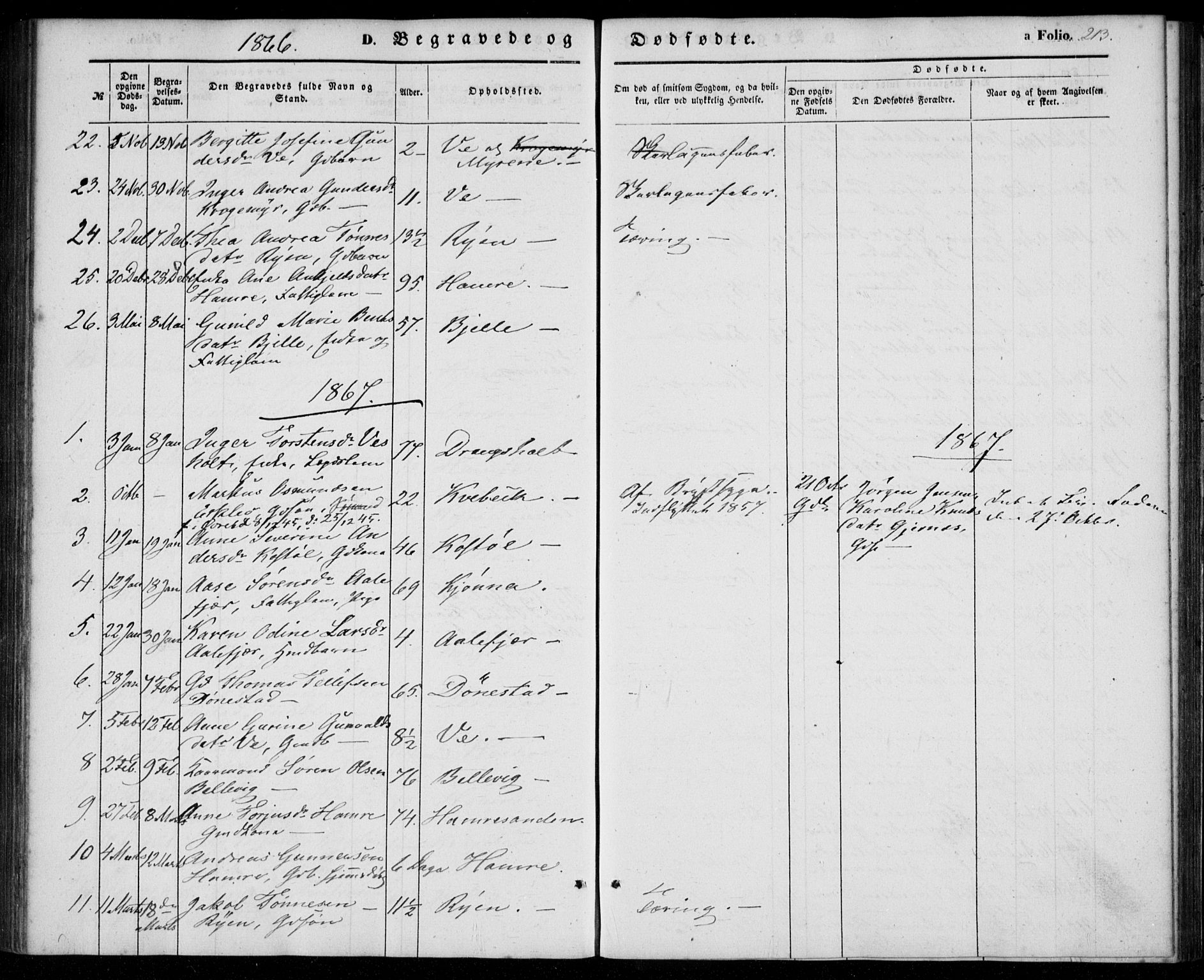 Tveit sokneprestkontor, AV/SAK-1111-0043/F/Fa/L0005: Parish register (official) no. A 5, 1853-1871, p. 213