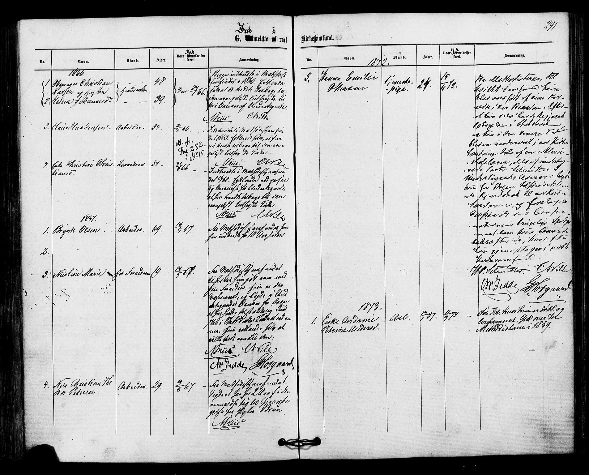 Halden prestekontor Kirkebøker, AV/SAO-A-10909/F/Fa/L0010: Parish register (official) no. I 10, 1866-1877, p. 291