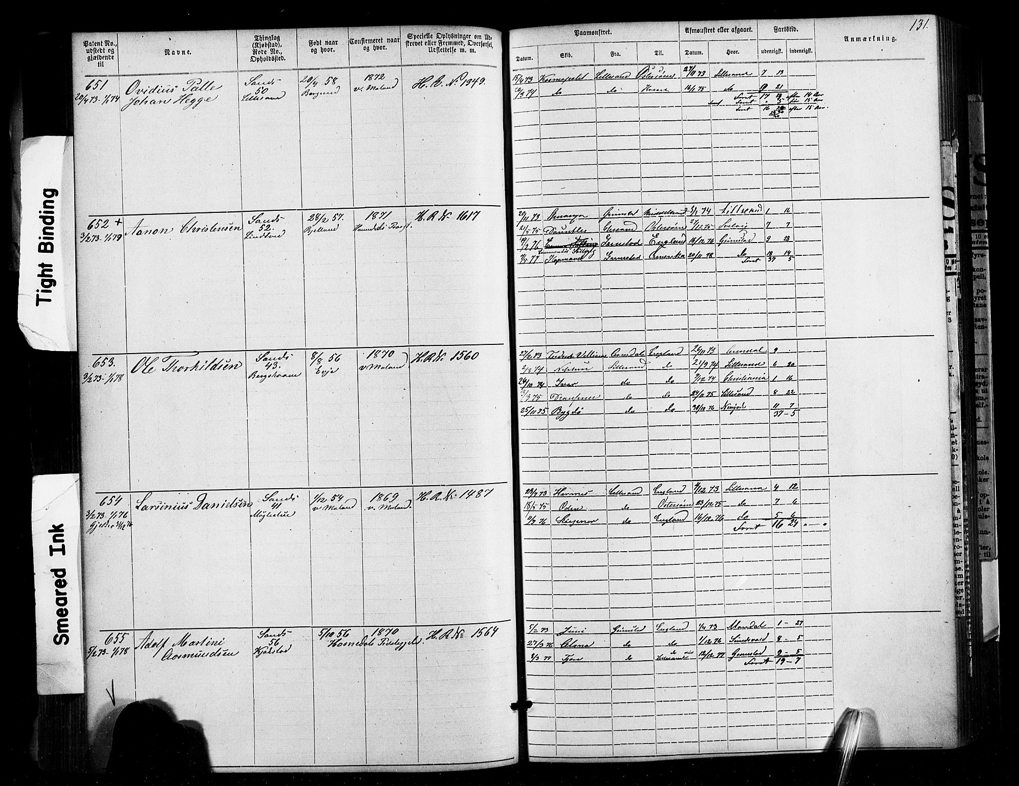 Lillesand mønstringskrets, SAK/2031-0014/F/Fa/L0002: Annotasjonsrulle nr 1-1910 med register, W-8, 1868-1891, p. 134