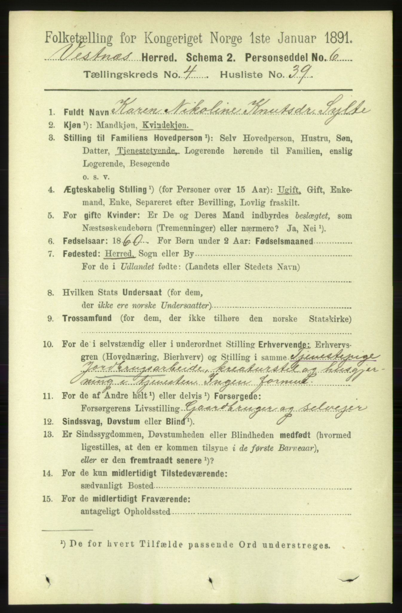 RA, 1891 census for 1535 Vestnes, 1891, p. 1524