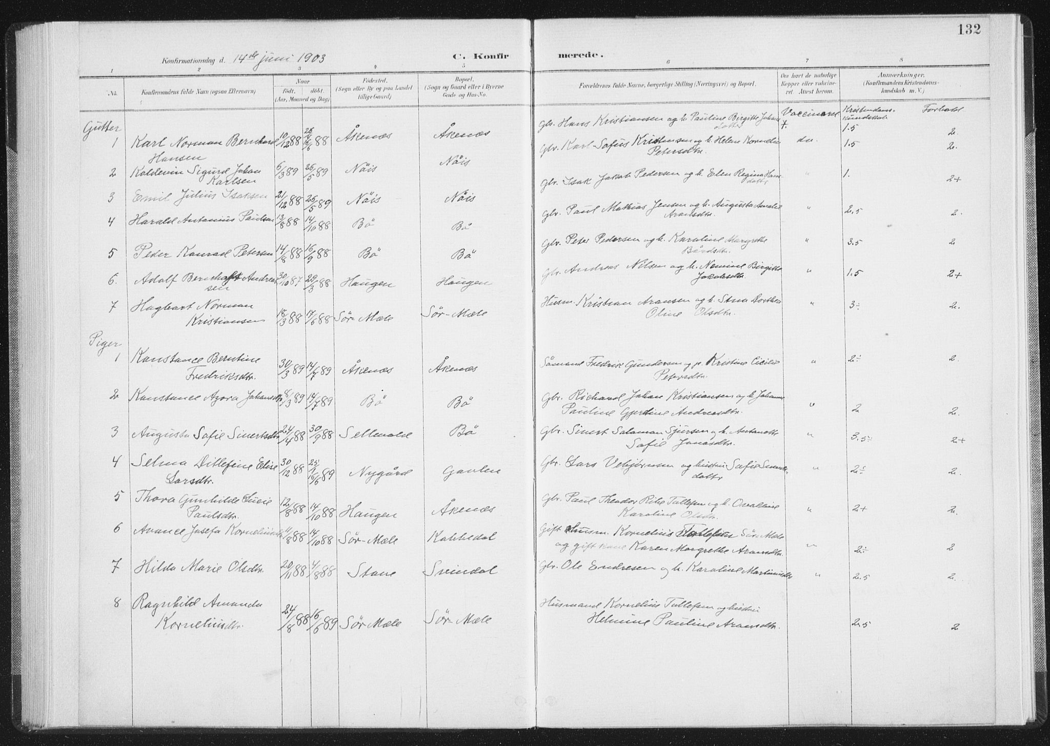 Ministerialprotokoller, klokkerbøker og fødselsregistre - Nordland, AV/SAT-A-1459/898/L1422: Parish register (official) no. 898A02, 1887-1908, p. 132