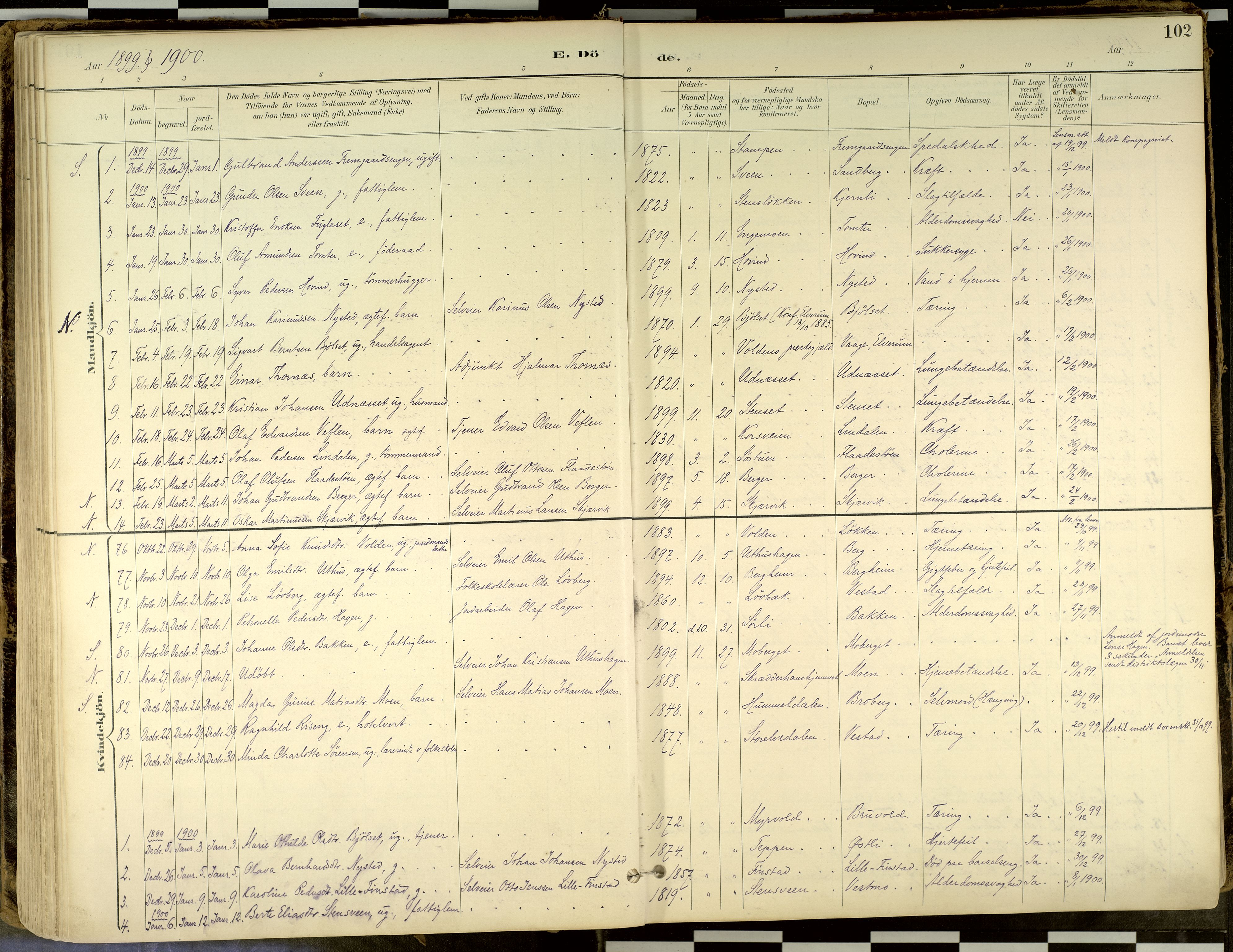 Elverum prestekontor, SAH/PREST-044/H/Ha/Haa/L0018: Parish register (official) no. 18, 1894-1914, p. 102