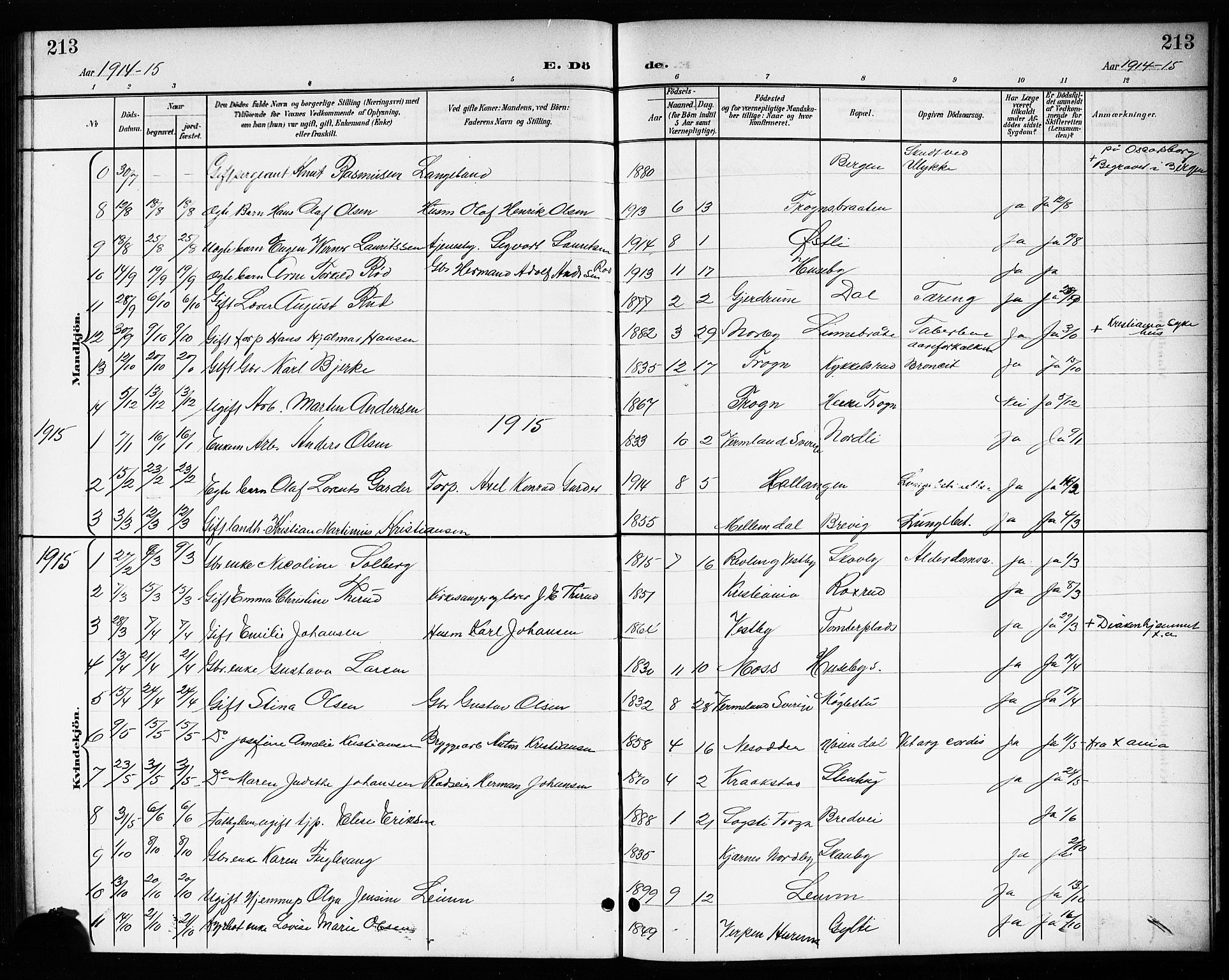 Drøbak prestekontor Kirkebøker, SAO/A-10142a/G/Gb/L0001: Parish register (copy) no. II 1, 1901-1919, p. 213