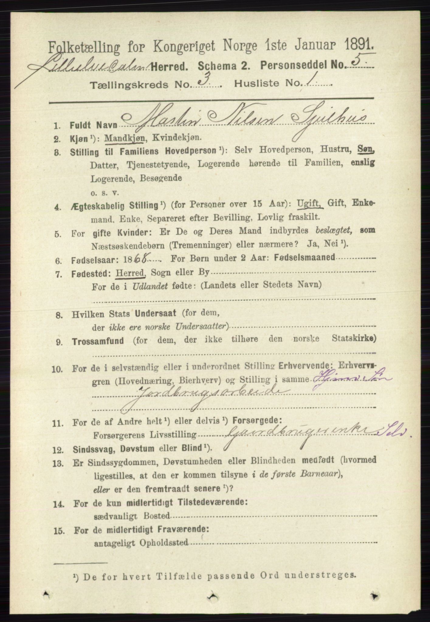 RA, 1891 census for 0438 Lille Elvedalen, 1891, p. 1033