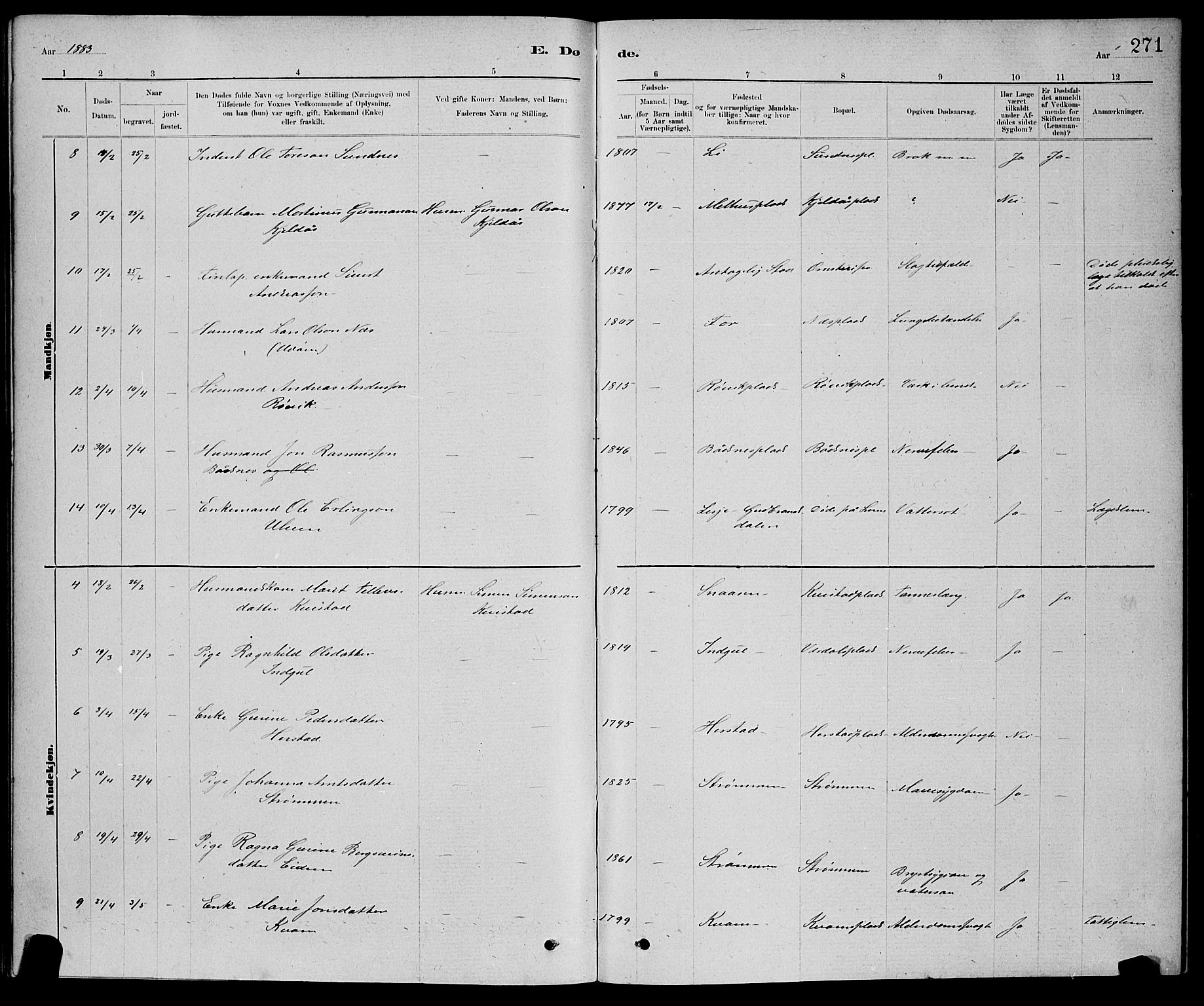 Ministerialprotokoller, klokkerbøker og fødselsregistre - Nord-Trøndelag, AV/SAT-A-1458/730/L0301: Parish register (copy) no. 730C04, 1880-1897, p. 271