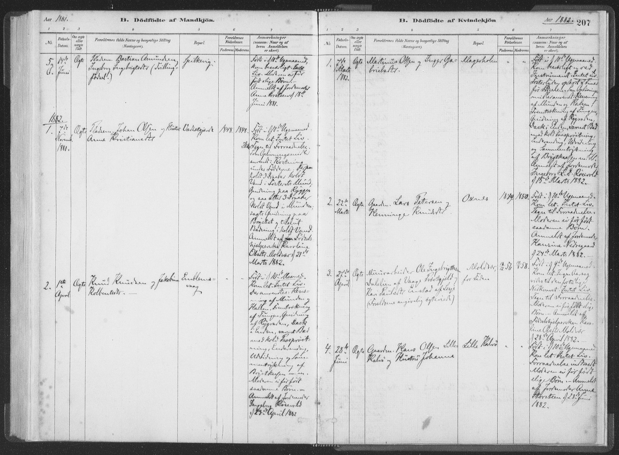 Ministerialprotokoller, klokkerbøker og fødselsregistre - Møre og Romsdal, AV/SAT-A-1454/528/L0401: Parish register (official) no. 528A12I, 1880-1920, p. 207