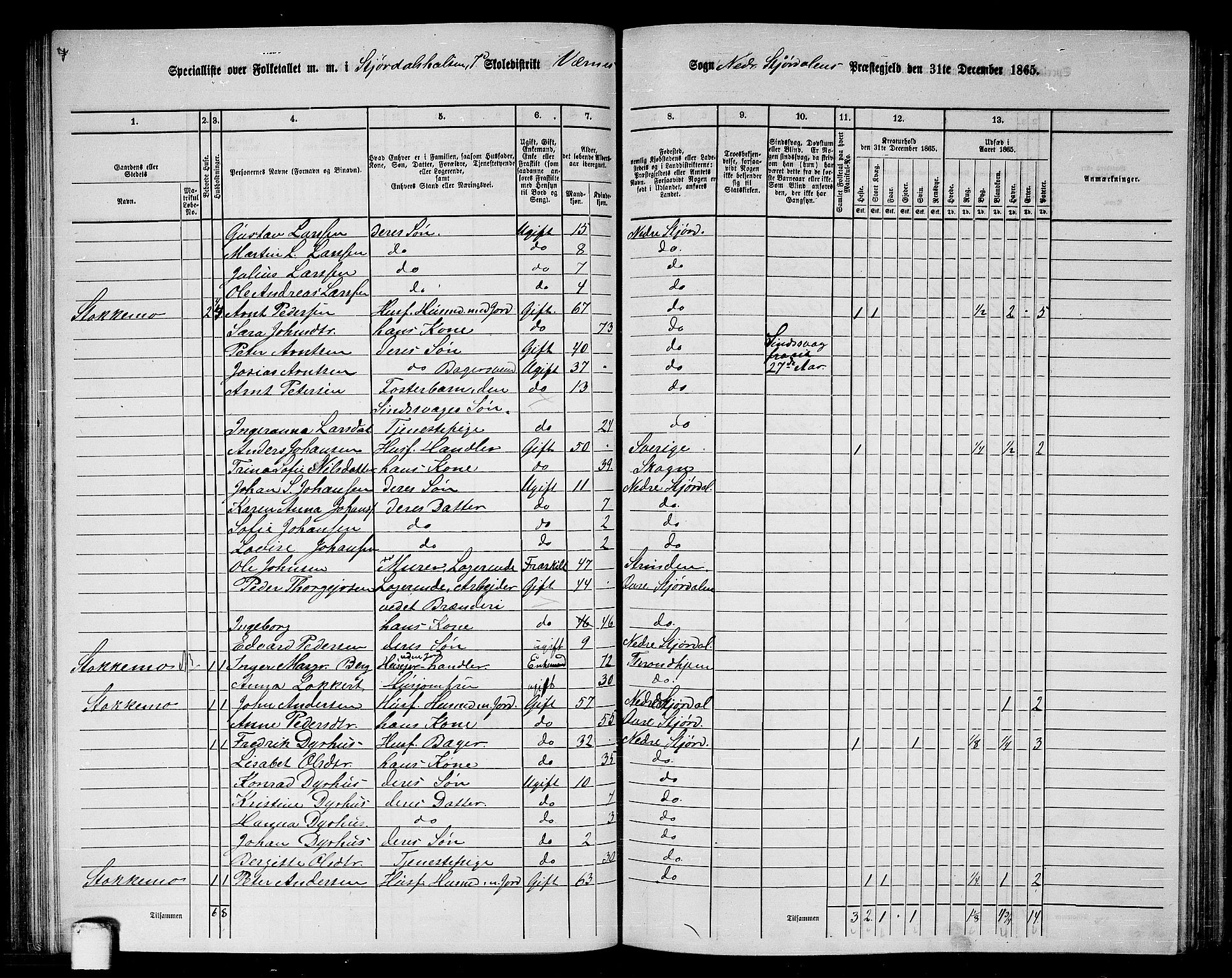 RA, 1865 census for Nedre Stjørdal, 1865, p. 142