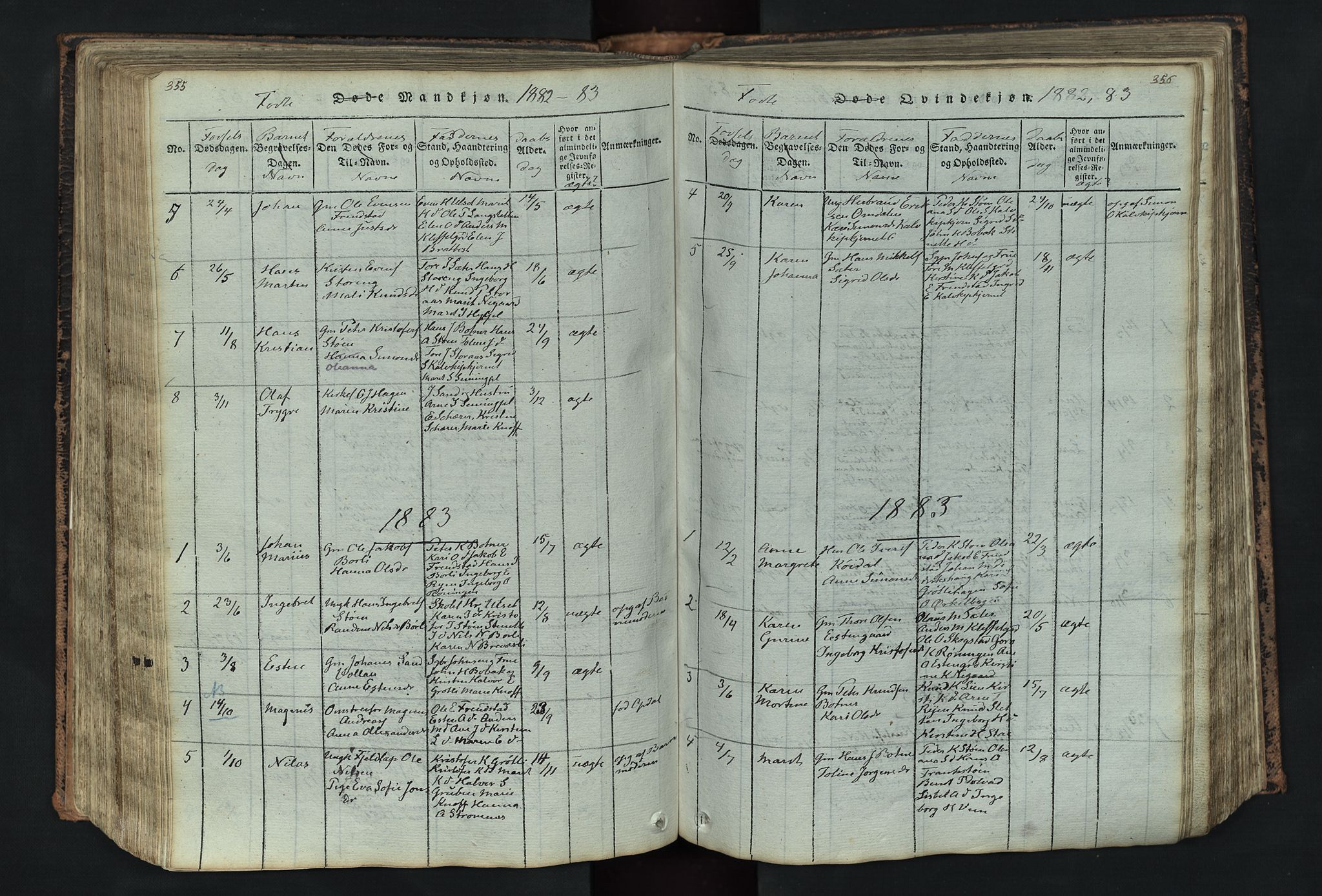 Kvikne prestekontor, SAH/PREST-064/H/Ha/Hab/L0001: Parish register (copy) no. 1, 1815-1895, p. 355-356