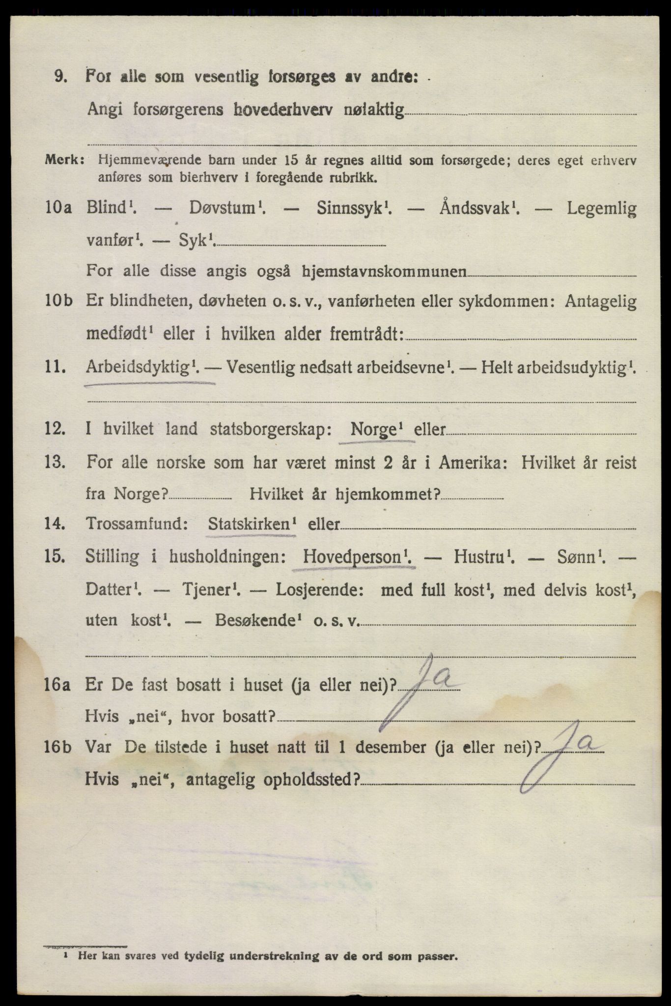 SAKO, 1920 census for Brunlanes, 1920, p. 9734