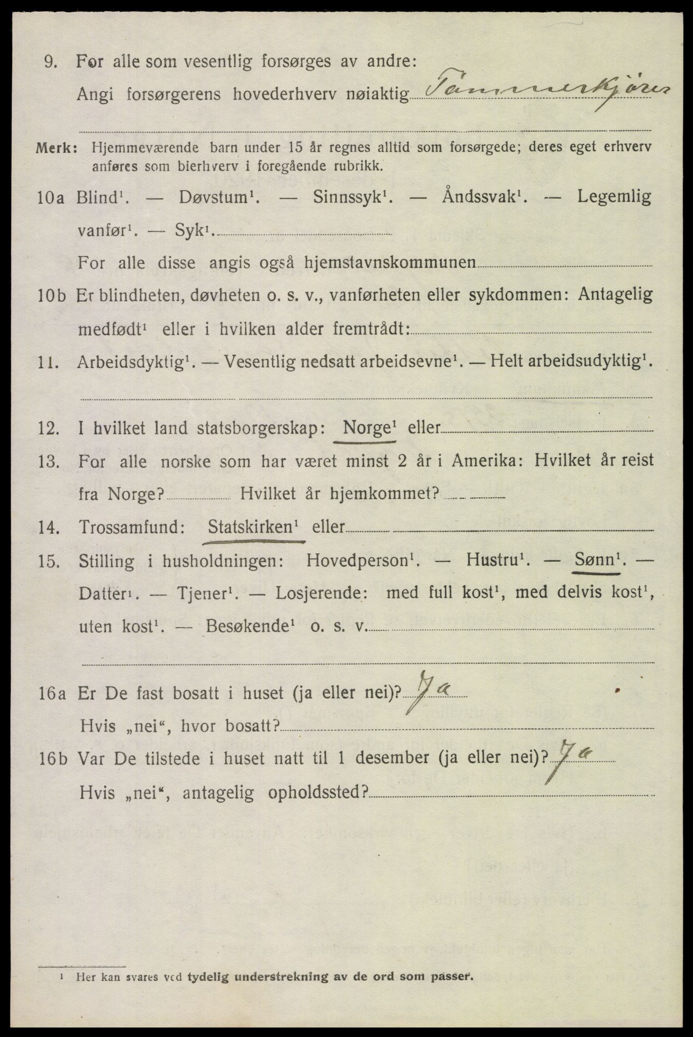 SAH, 1920 census for Trysil, 1920, p. 6534