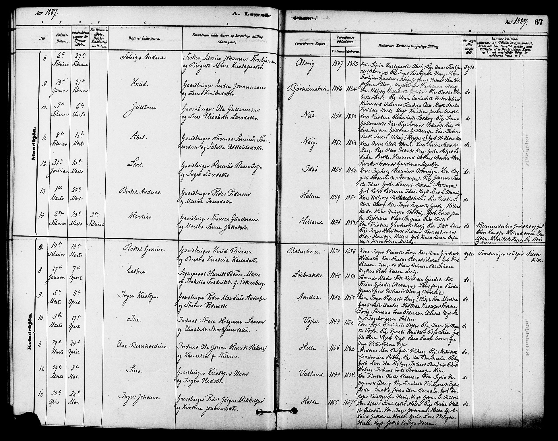 Strand sokneprestkontor, AV/SAST-A-101828/H/Ha/Haa/L0009: Parish register (official) no. A 9, 1877-1908, p. 67