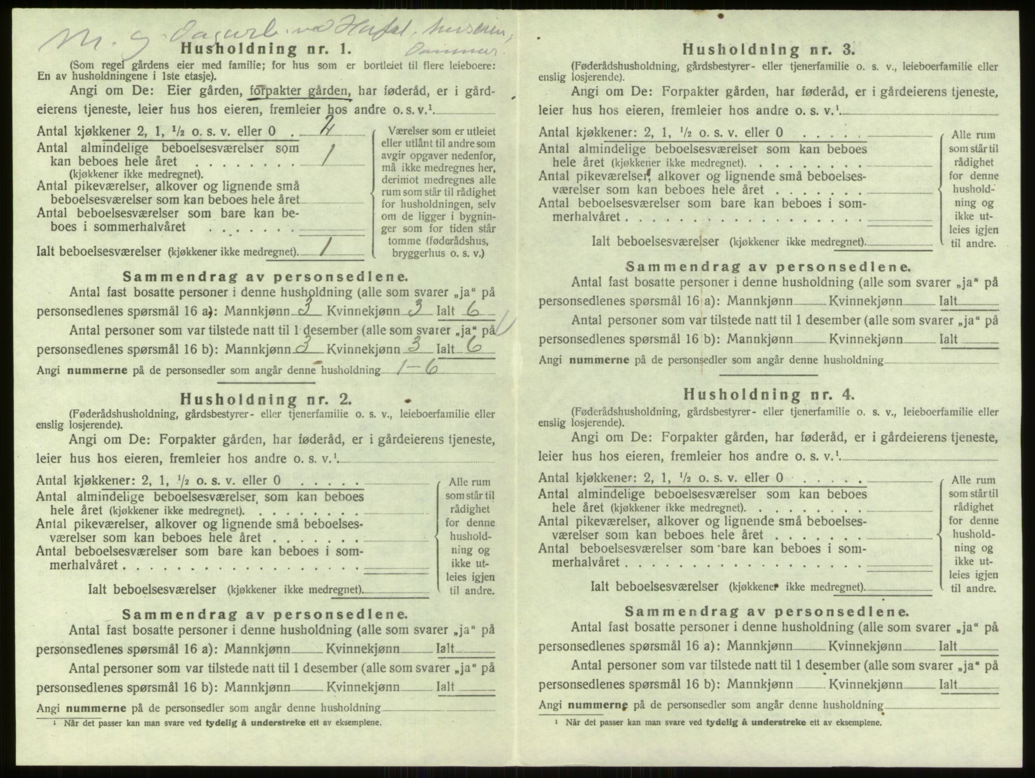 SAO, 1920 census for Skjeberg, 1920, p. 1991