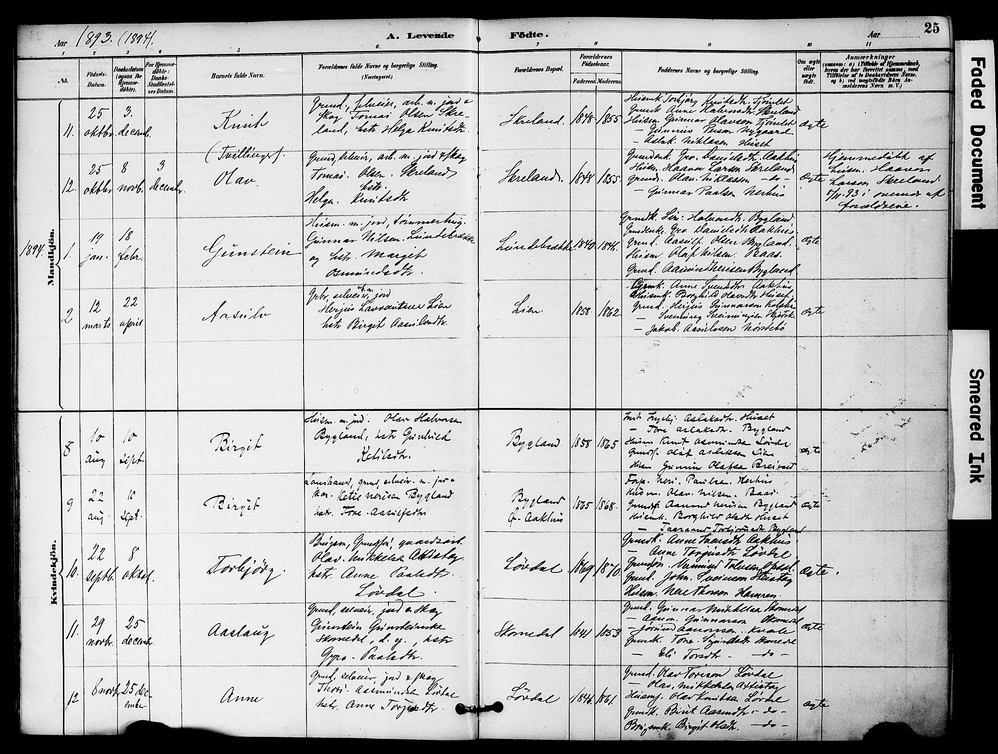 Bygland sokneprestkontor, SAK/1111-0006/F/Fa/Fab/L0007: Parish register (official) no. A 7, 1885-1909, p. 25