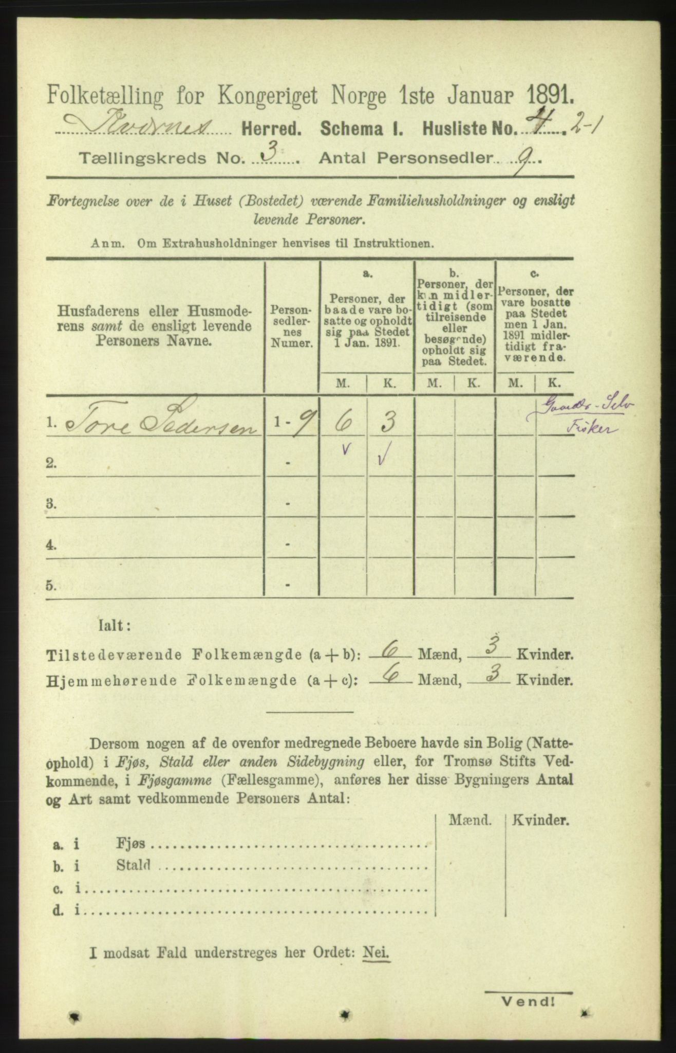 RA, 1891 census for 1553 Kvernes, 1891, p. 947