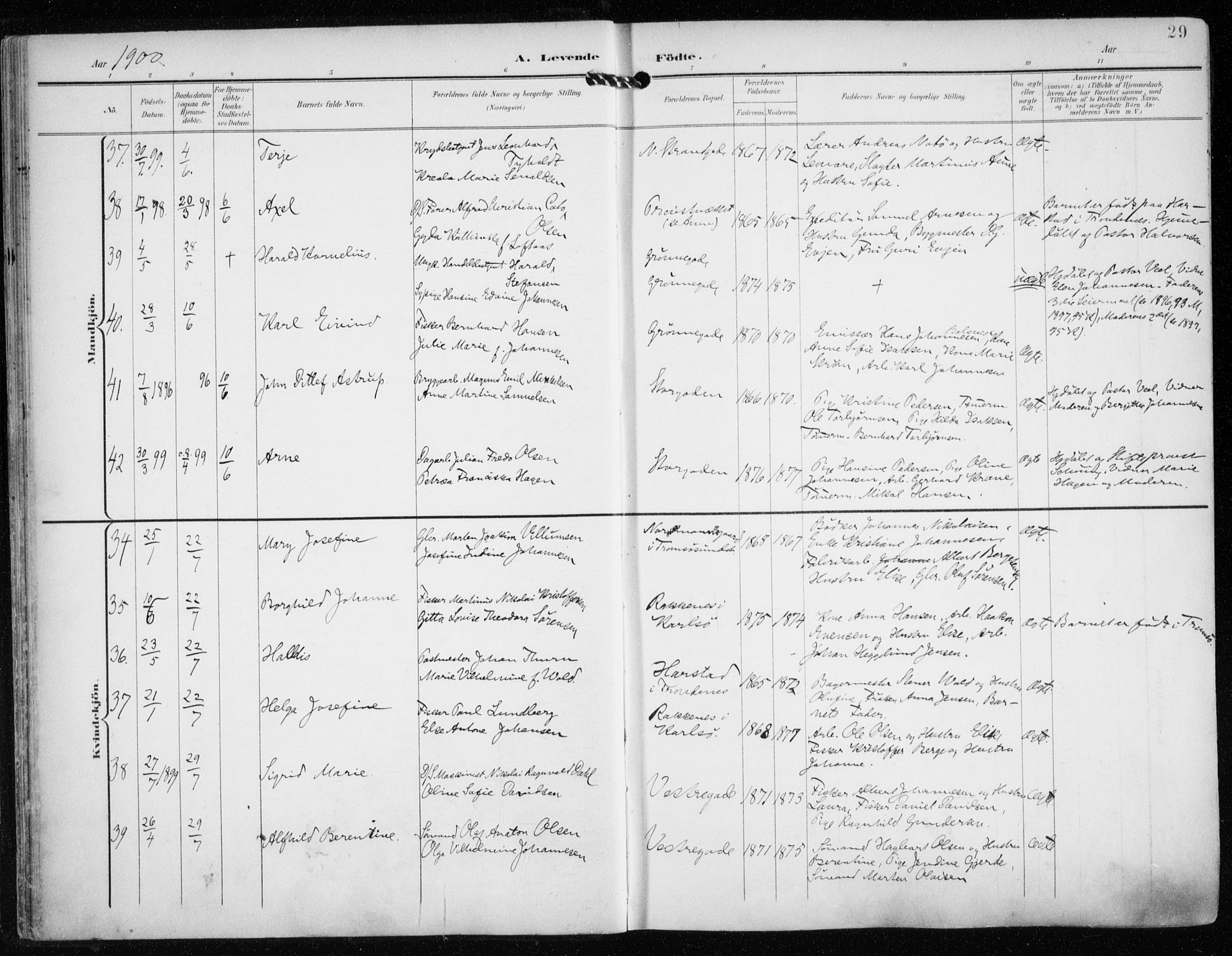 Tromsø sokneprestkontor/stiftsprosti/domprosti, AV/SATØ-S-1343/G/Ga/L0016kirke: Parish register (official) no. 16, 1899-1906, p. 29