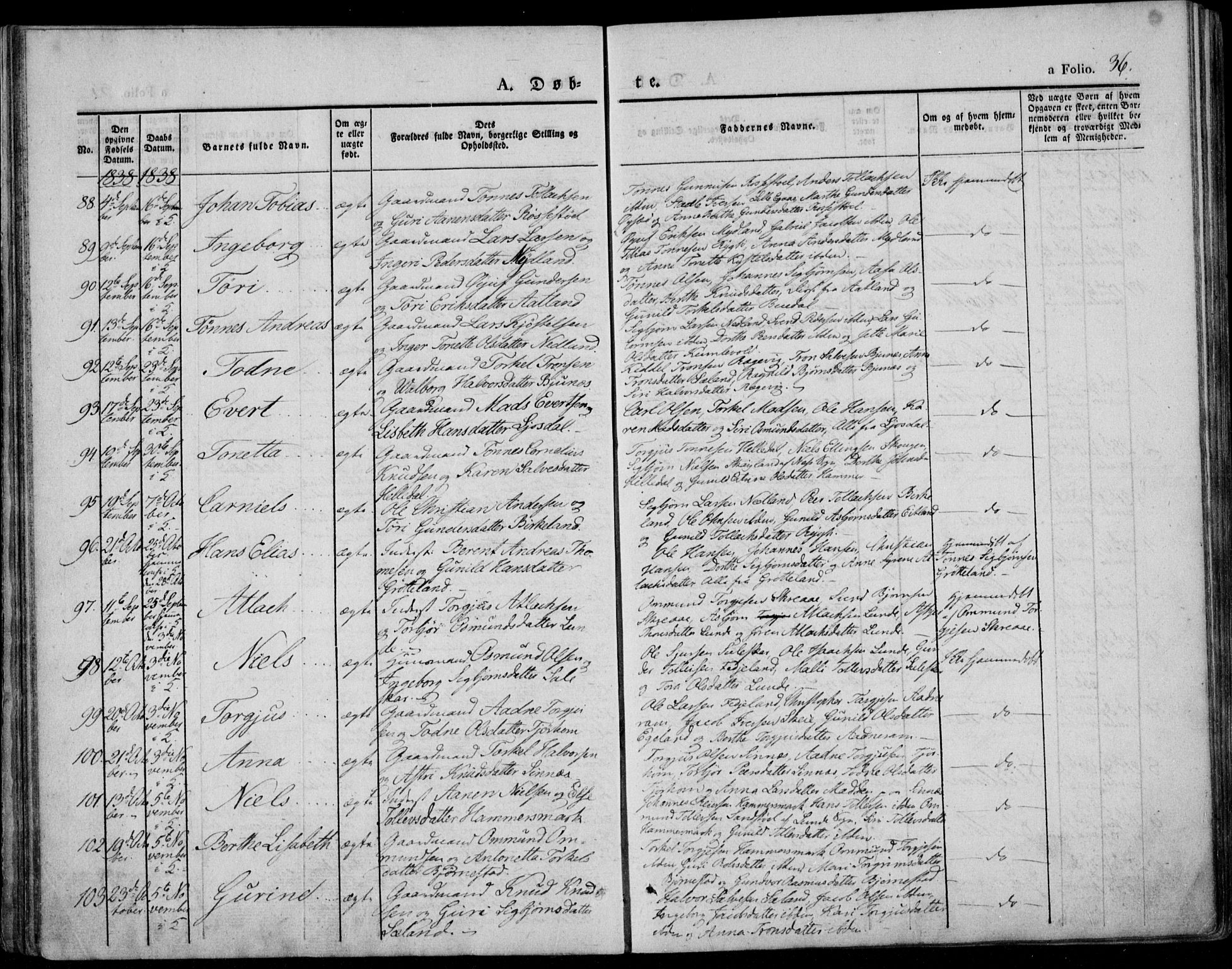 Bakke sokneprestkontor, AV/SAK-1111-0002/F/Fa/Faa/L0004: Parish register (official) no. A 4, 1834-1846, p. 36