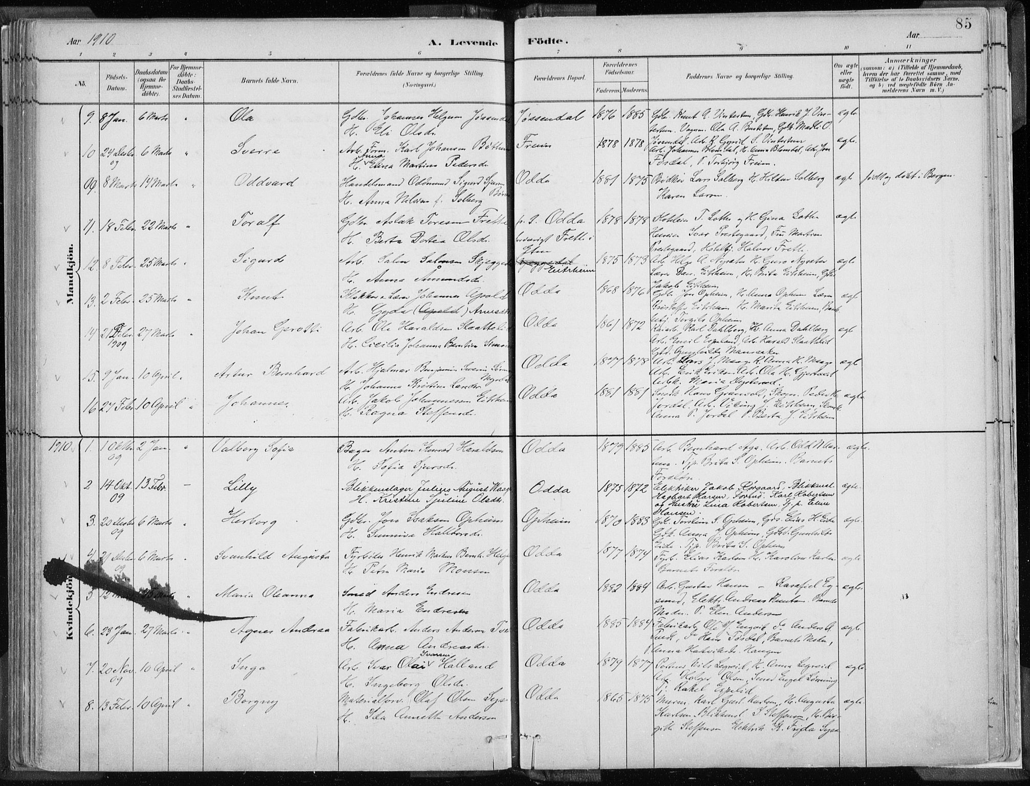 Odda Sokneprestembete, SAB/A-77201/H/Haa: Parish register (official) no. A  3, 1882-1913, p. 85