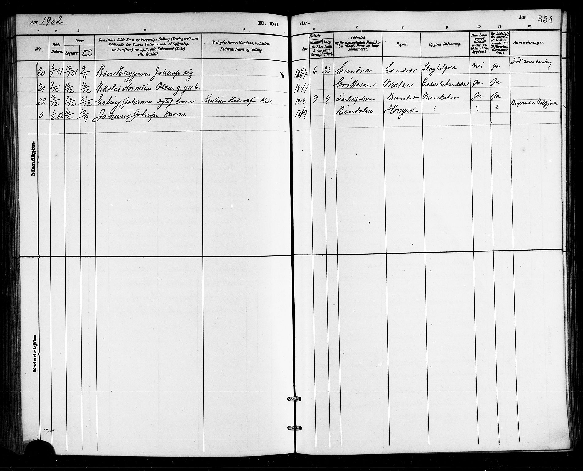 Ministerialprotokoller, klokkerbøker og fødselsregistre - Nordland, SAT/A-1459/812/L0188: Parish register (copy) no. 812C06, 1884-1912, p. 354