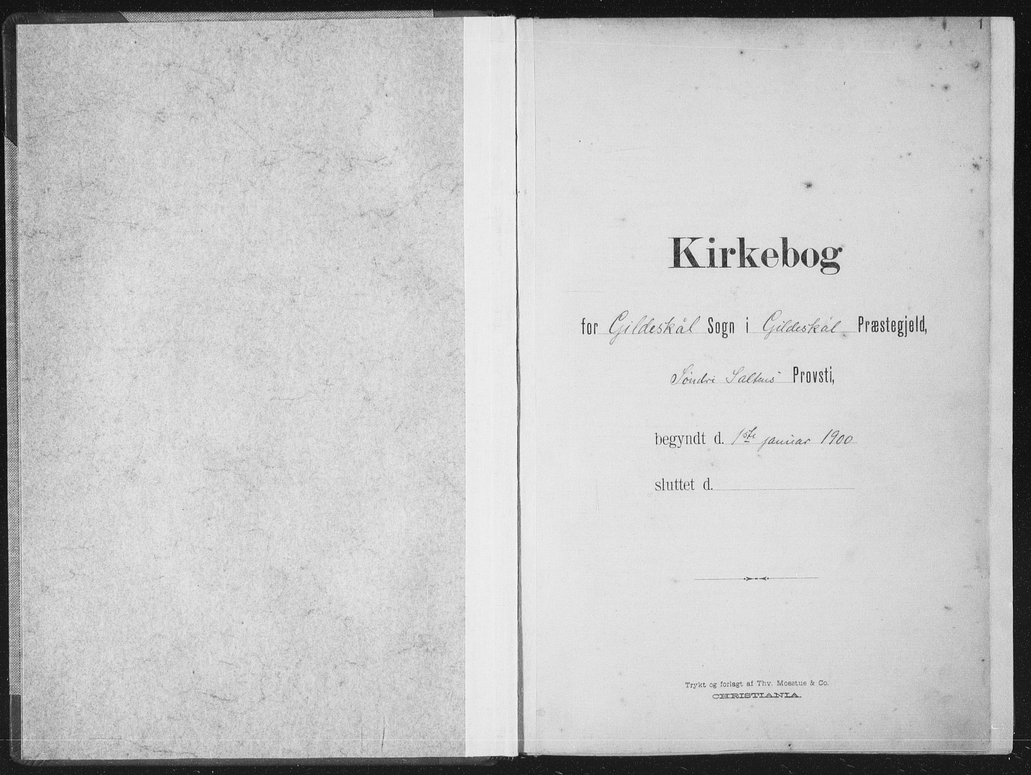 Ministerialprotokoller, klokkerbøker og fødselsregistre - Nordland, AV/SAT-A-1459/805/L0102: Parish register (official) no. 805A08I, 1900-1909, p. 1