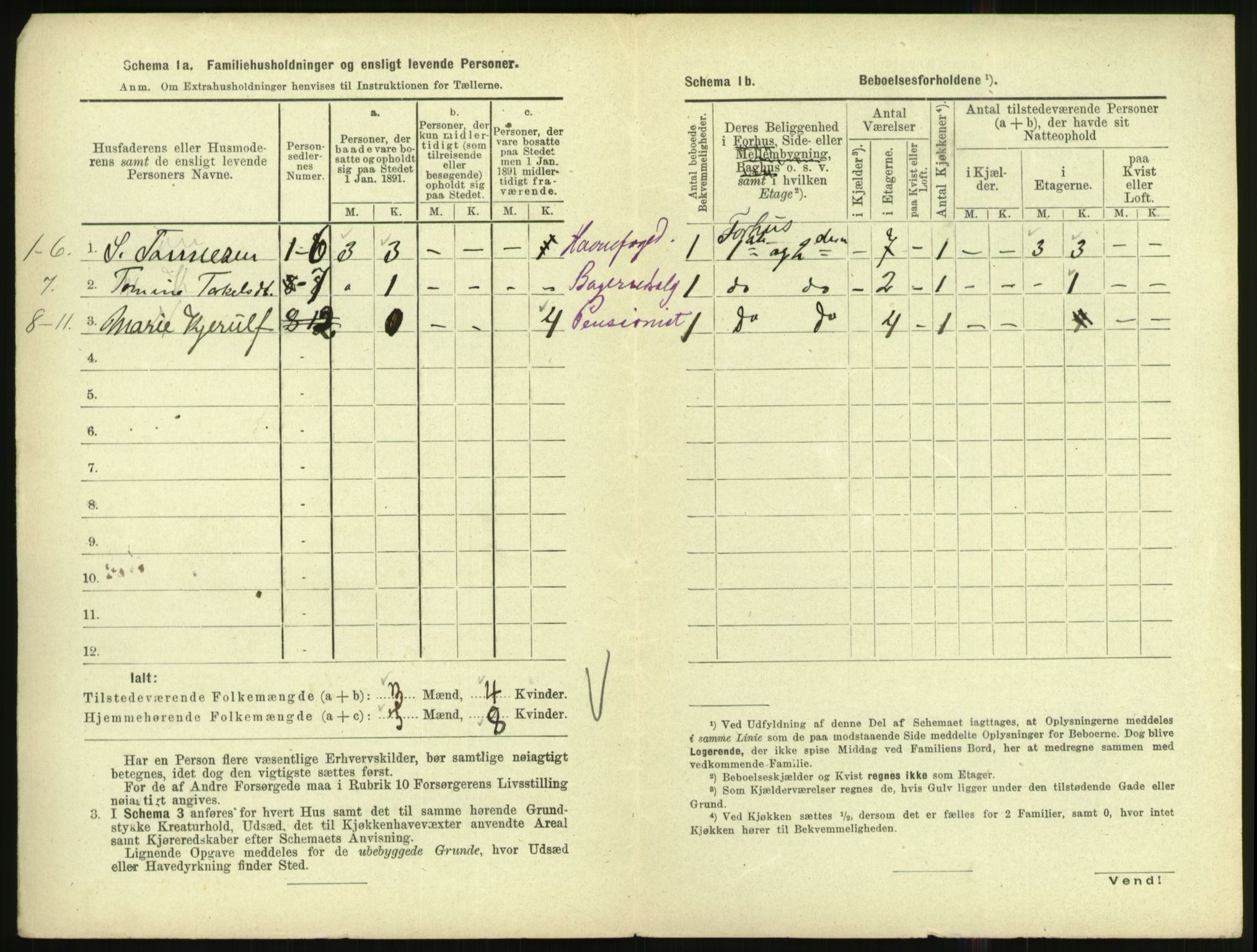 RA, 1891 census for 1002 Mandal, 1891, p. 1094