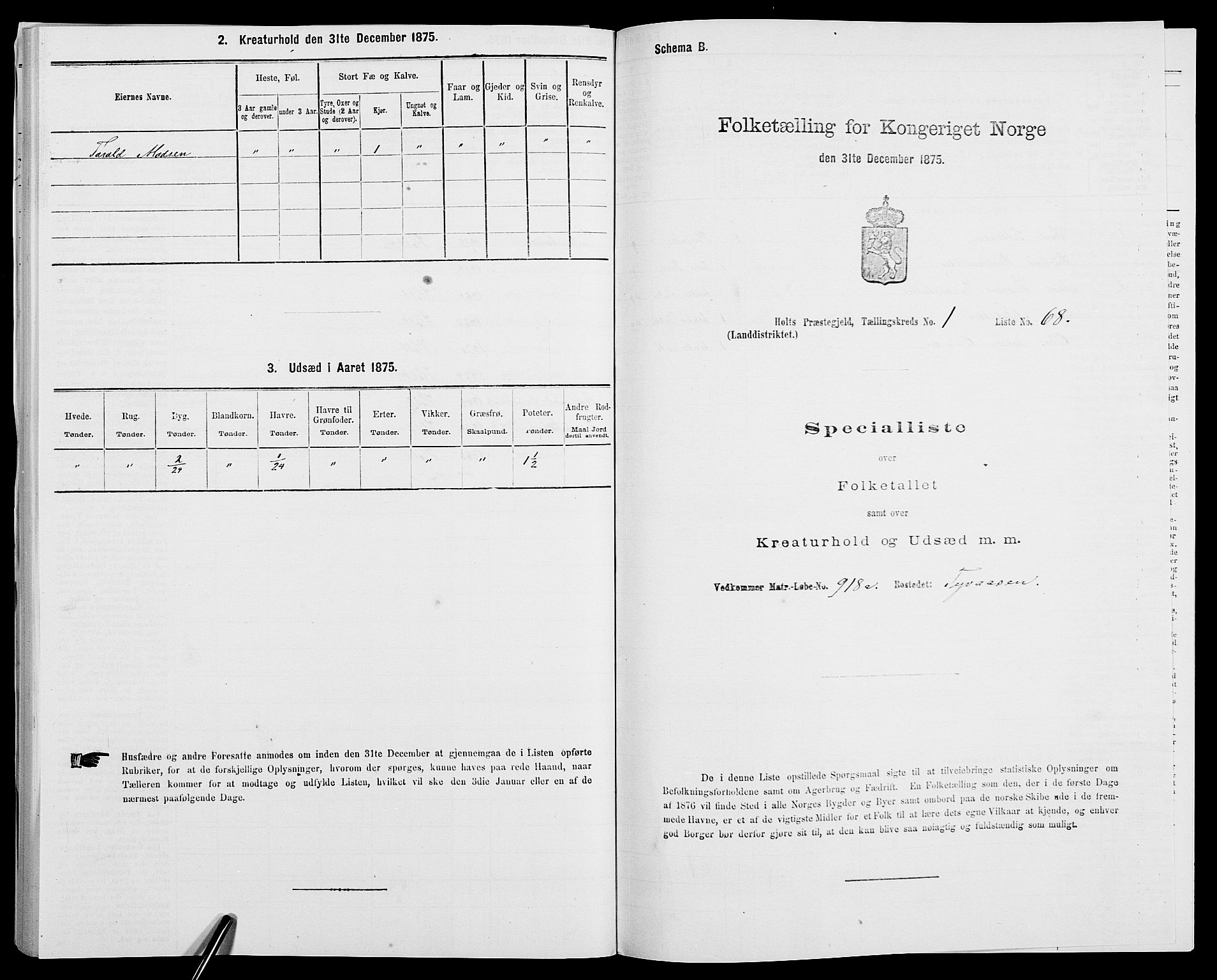 SAK, 1875 census for 0914L Holt/Holt, 1875, p. 185