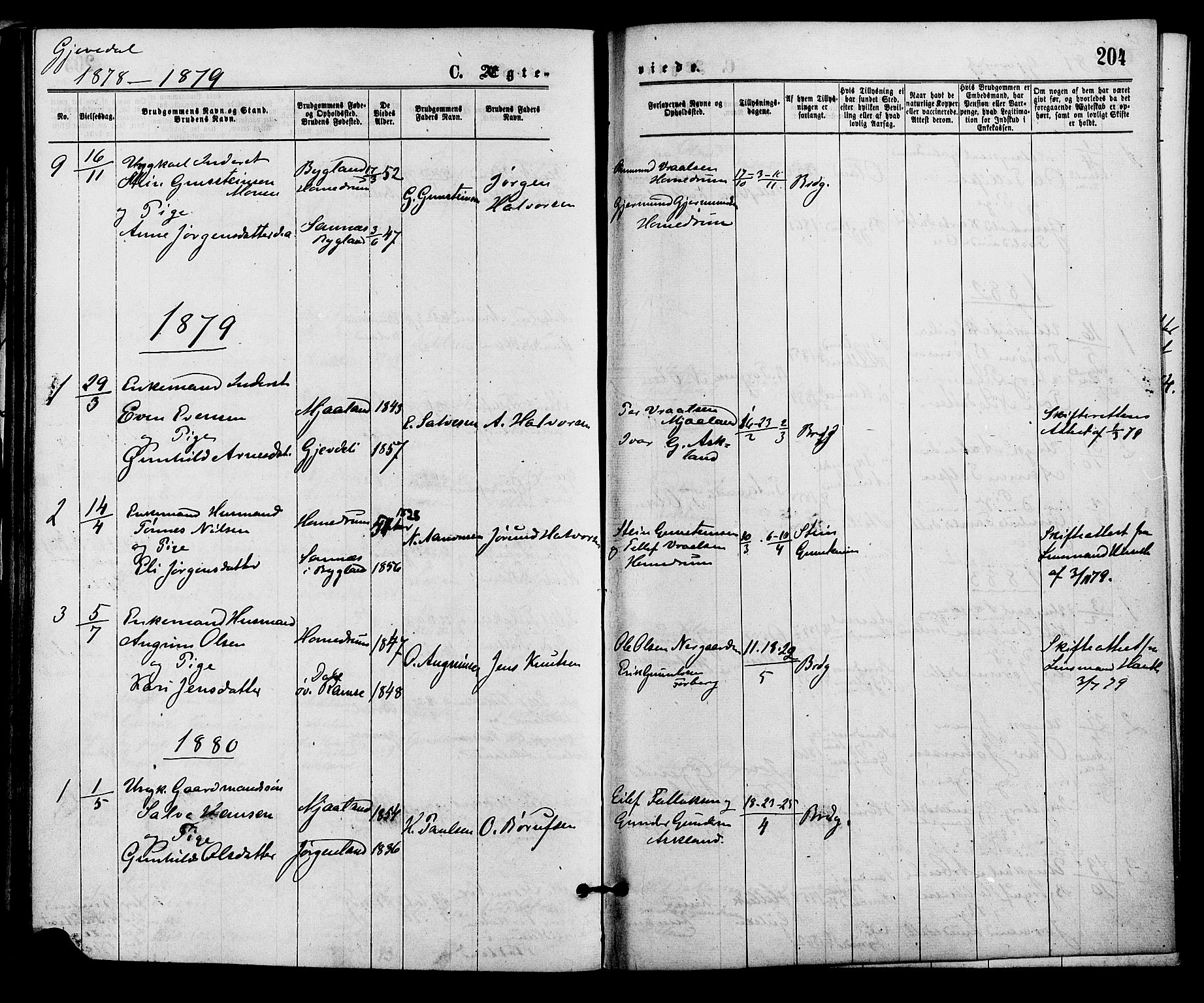 Åmli sokneprestkontor, SAK/1111-0050/F/Fa/Fac/L0009: Parish register (official) no. A 9 /2, 1869-1884, p. 204