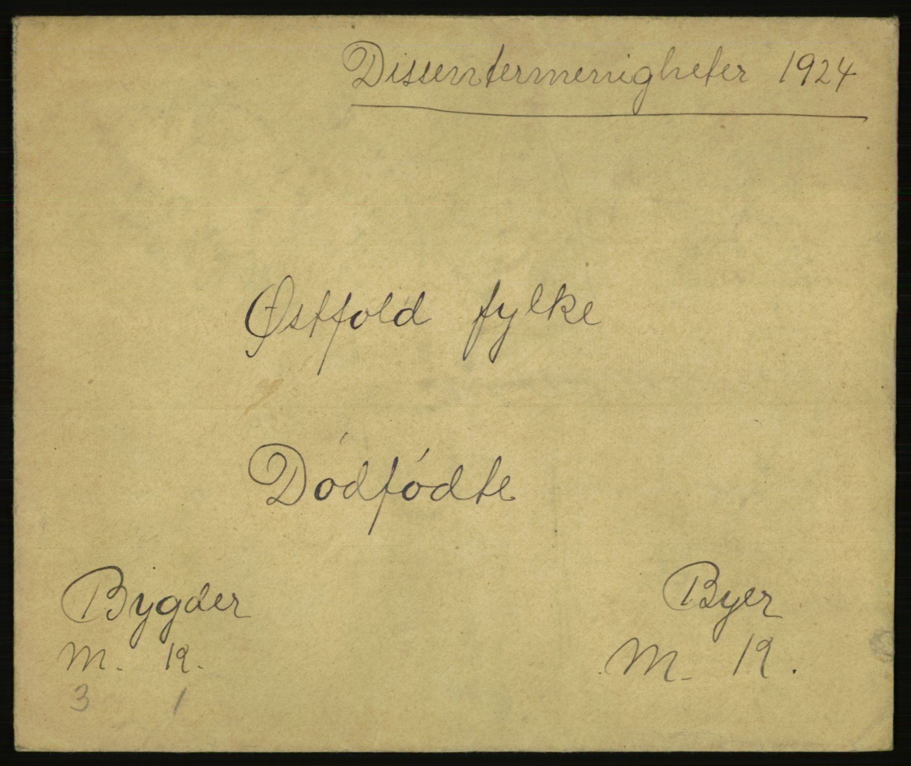 Statistisk sentralbyrå, Sosiodemografiske emner, Befolkning, AV/RA-S-2228/E/L0022: Fødte, gifte, døde dissentere., 1924, p. 3761