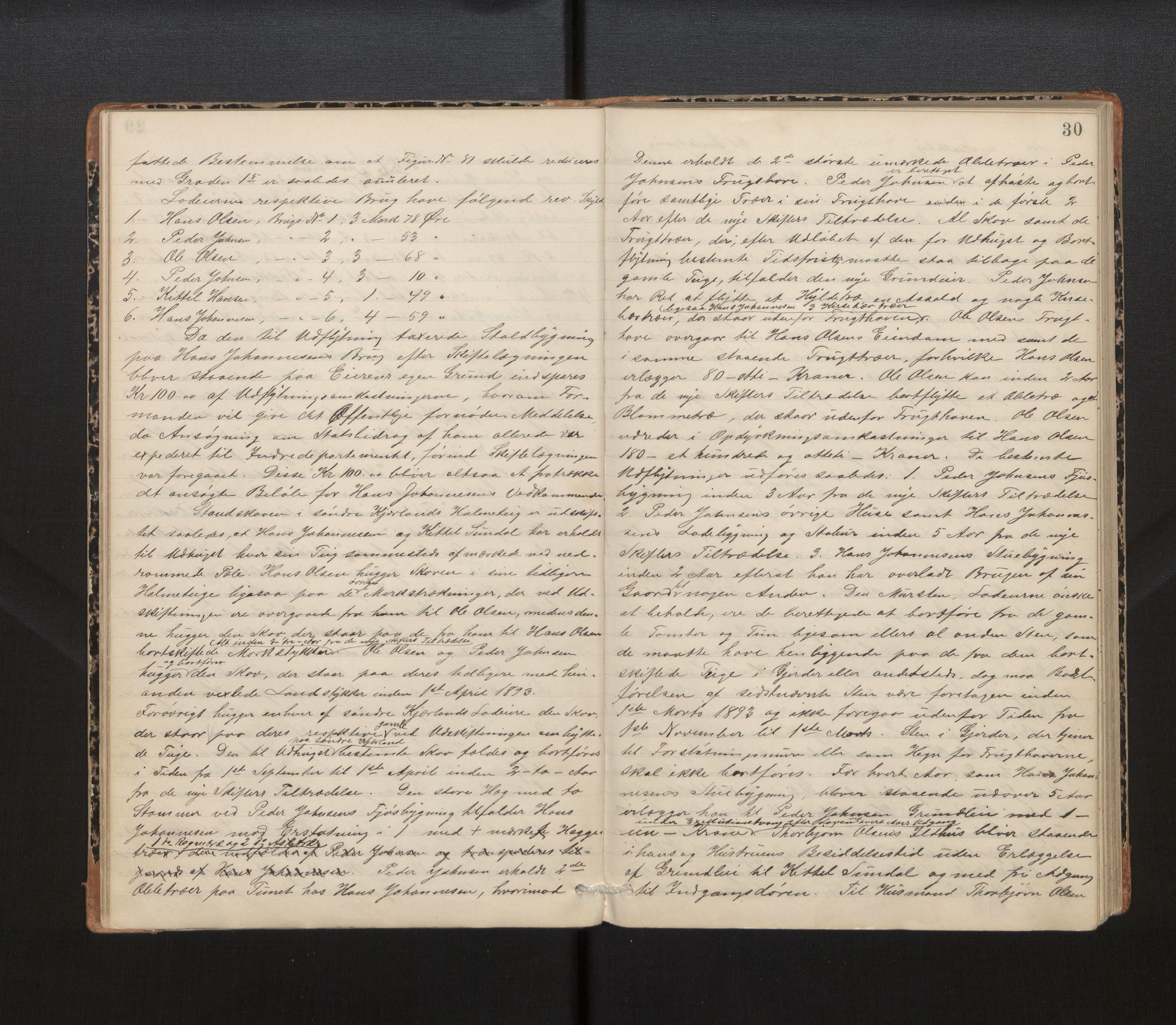 Hordaland jordskiftedøme - IV Hardanger jordskiftedistrikt, AV/SAB-A-7101/A/Aa/L0013: Forhandlingsprotokoll, 1890-1894, p. 29b-30a